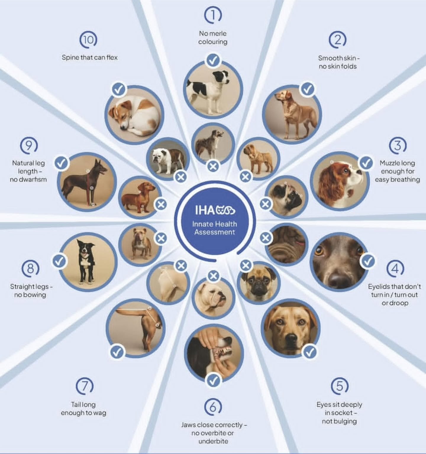 Very deserving of a place on the grid! 

The Innate Health Assessment tool helps to prevent the suffering of our next dog. It does this by making it clear which dogs to not breed from or buy.

These dogs may still need to be adopted from rescue organ