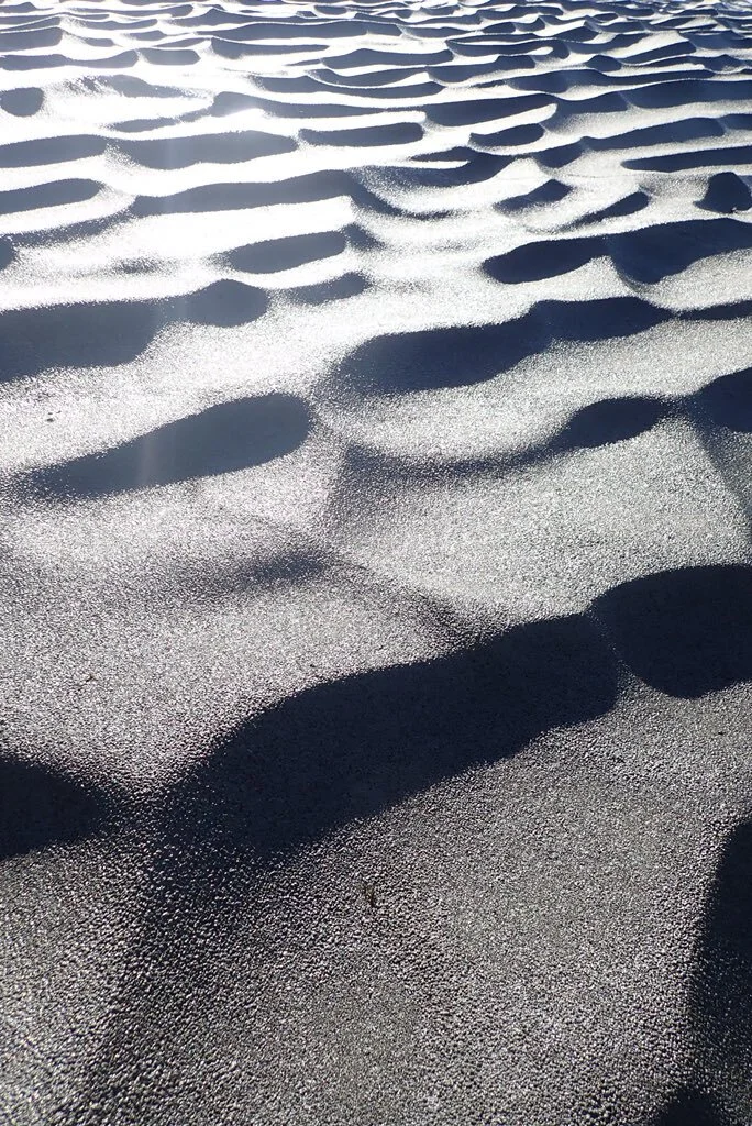 Wild Pedagogies Website Up &amp; Running!