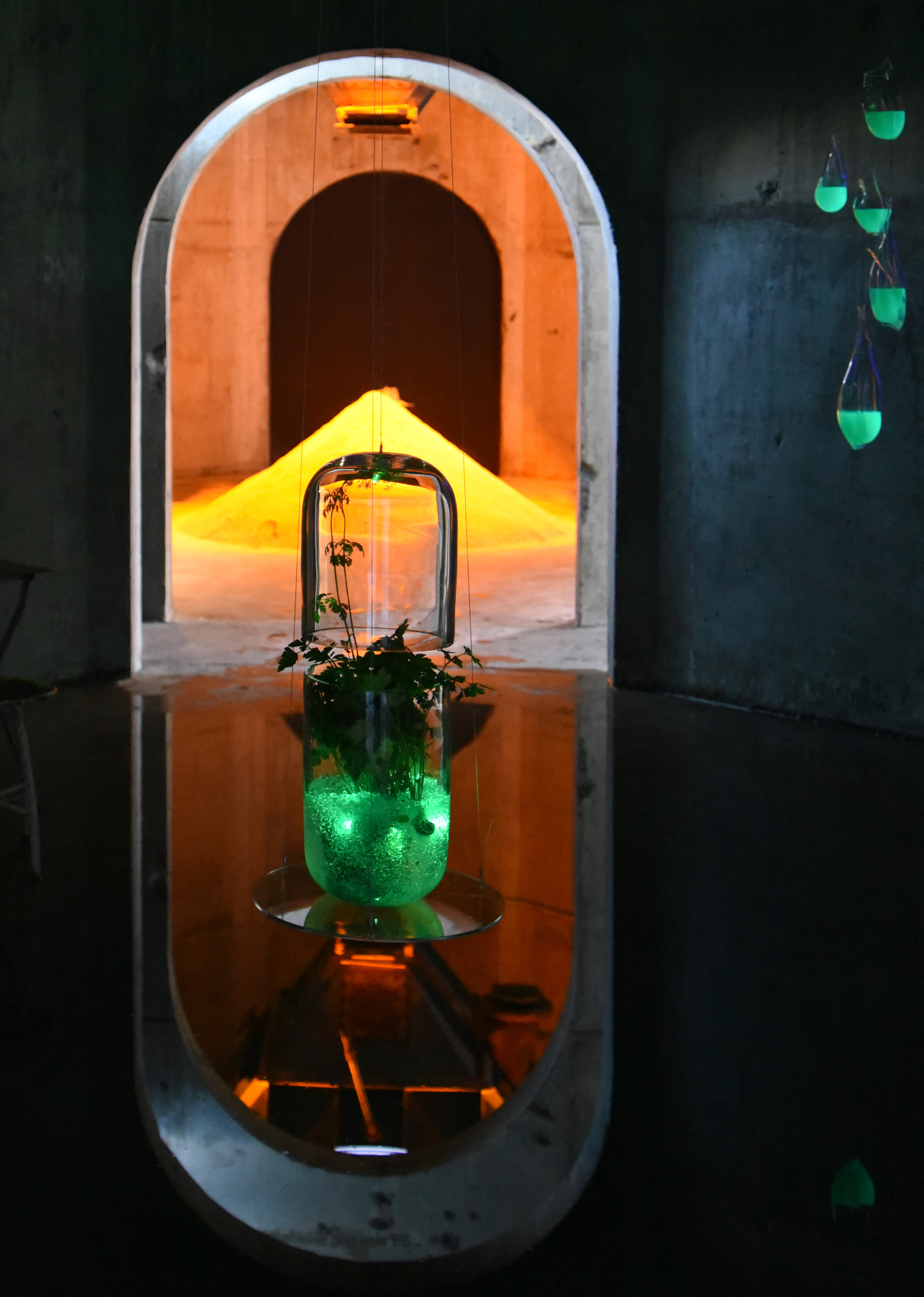 Atelier Aitken Biodesign Exhibition Forest Silo!.jpg