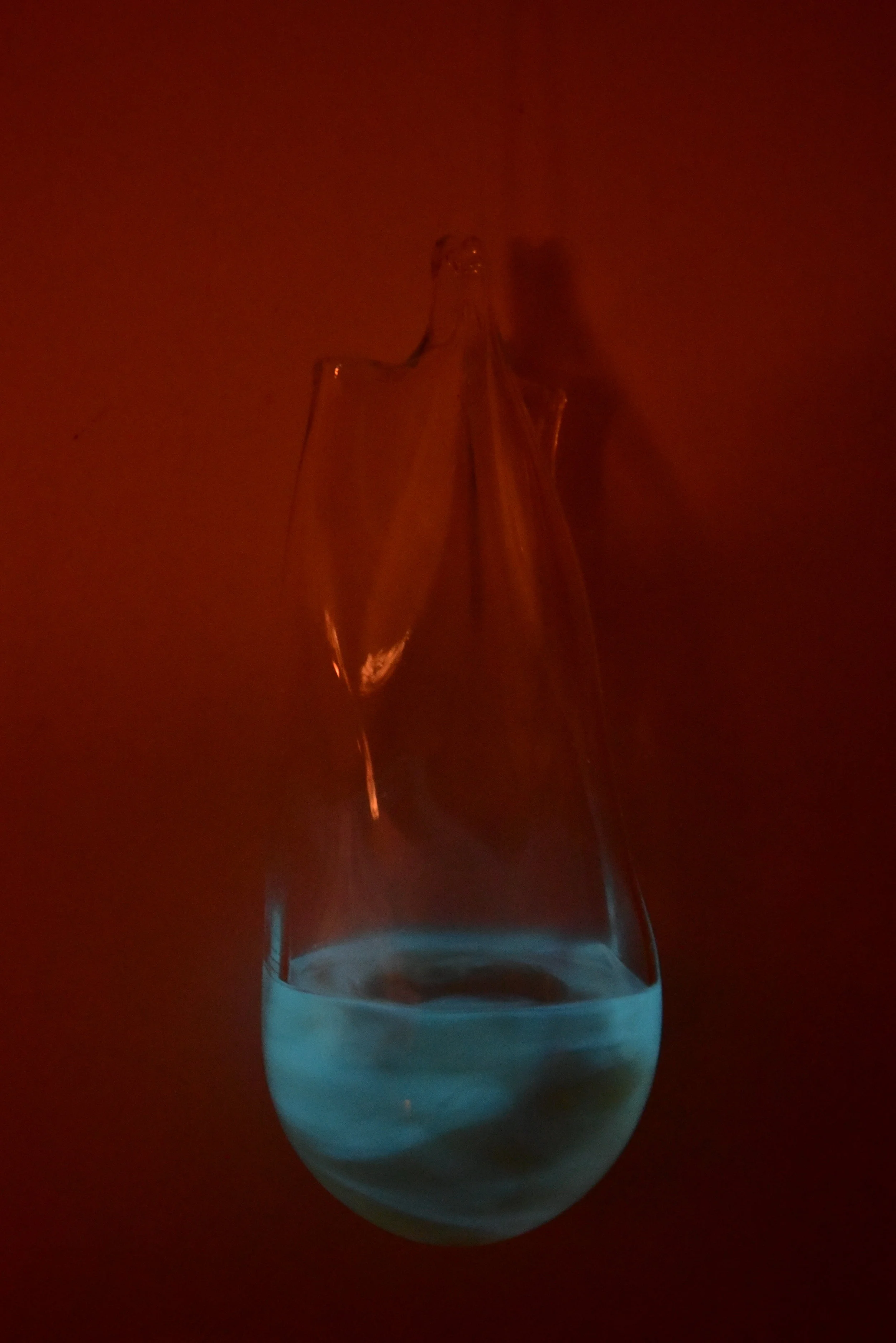 Atelier Aitken Katzoff Bioluminescent light.JPG