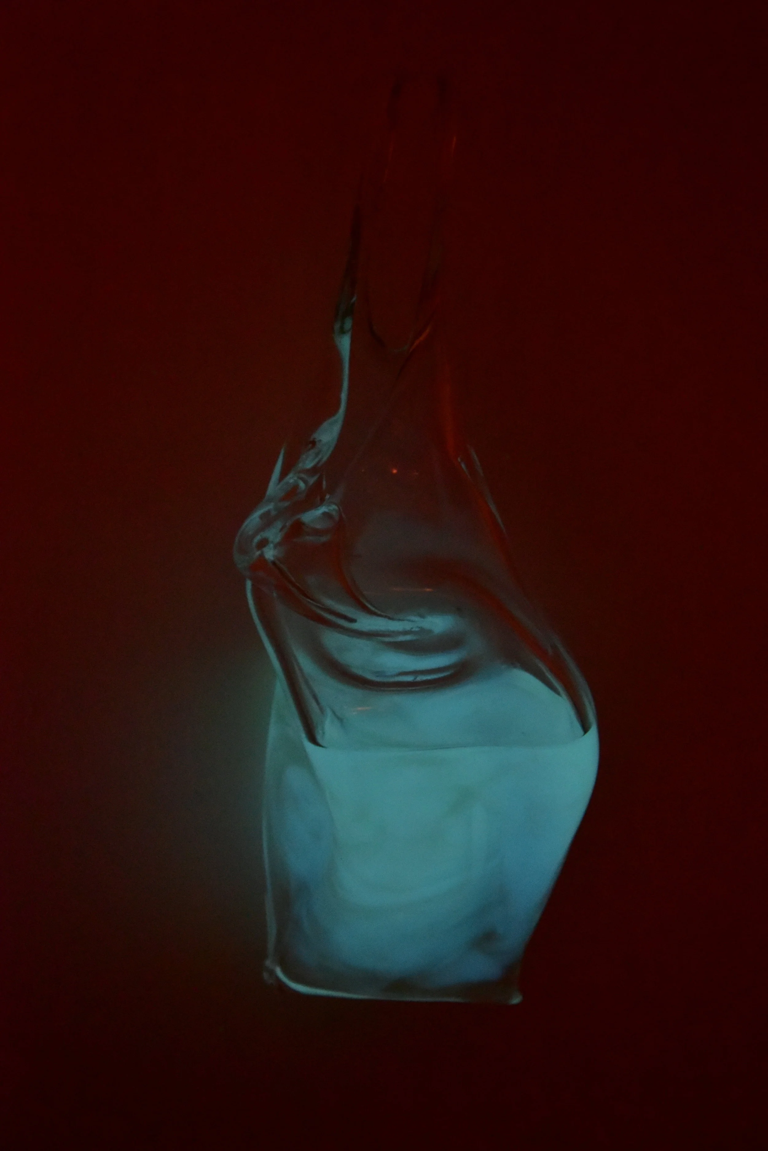 Atelier Aitken with Isaac Katzoff Siouxsie Wiles Bioluminescent bacteria.JPG