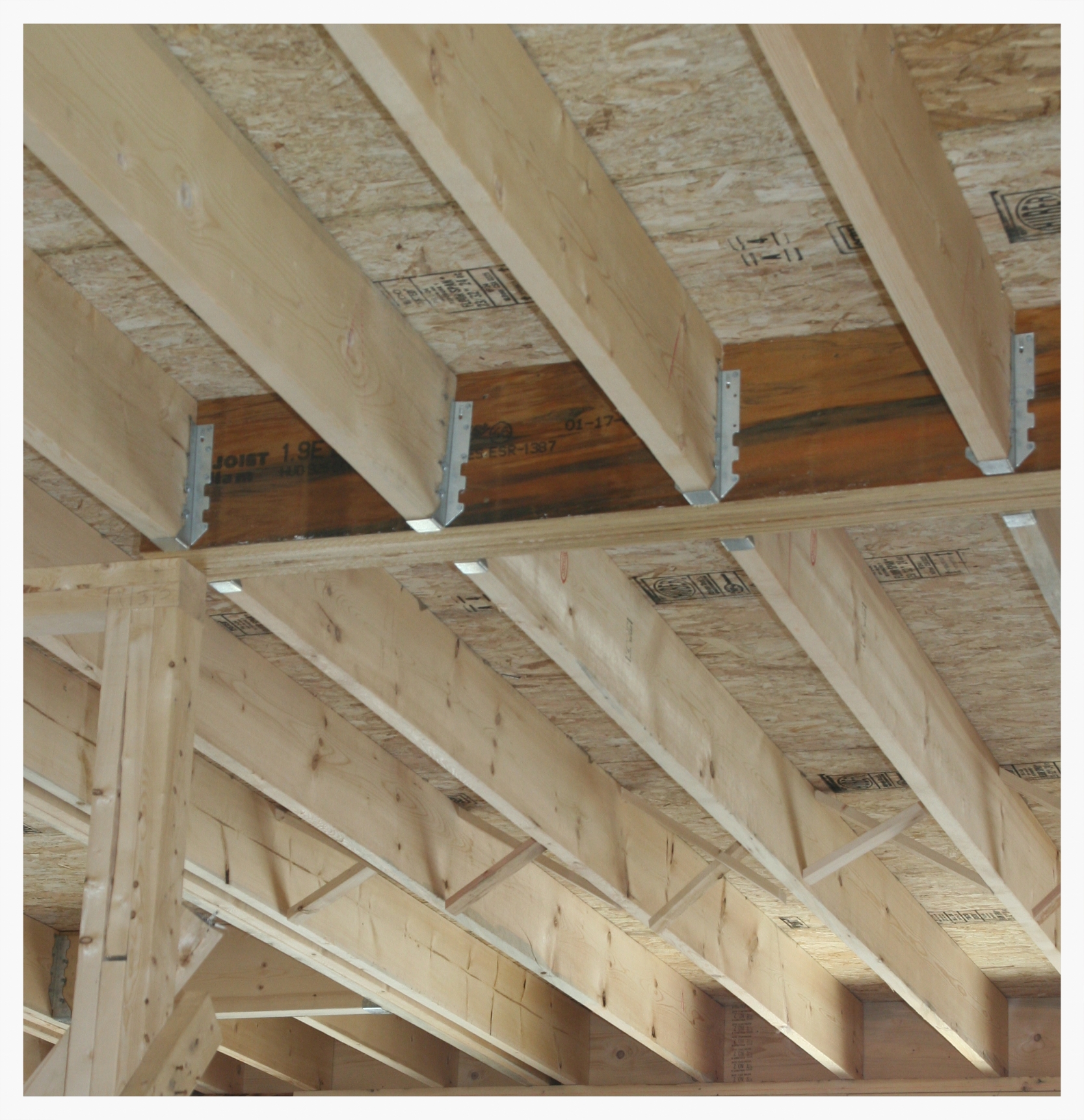 floor joists