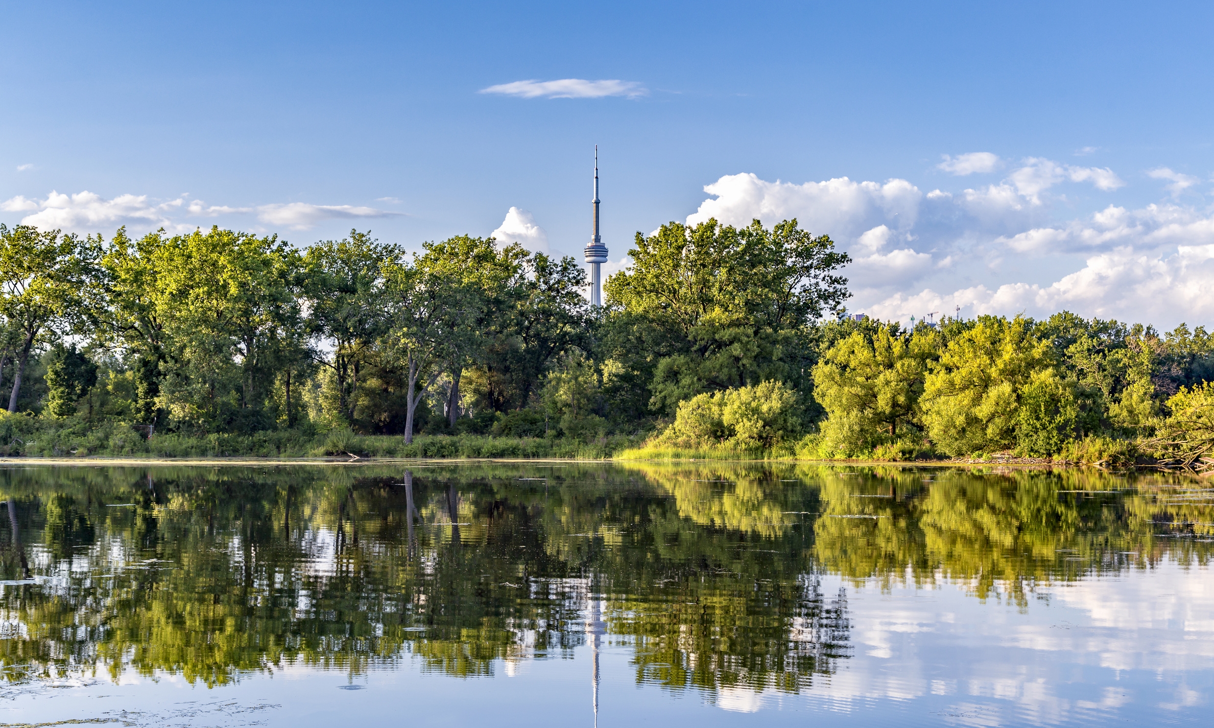 TorontoIsland.jpeg