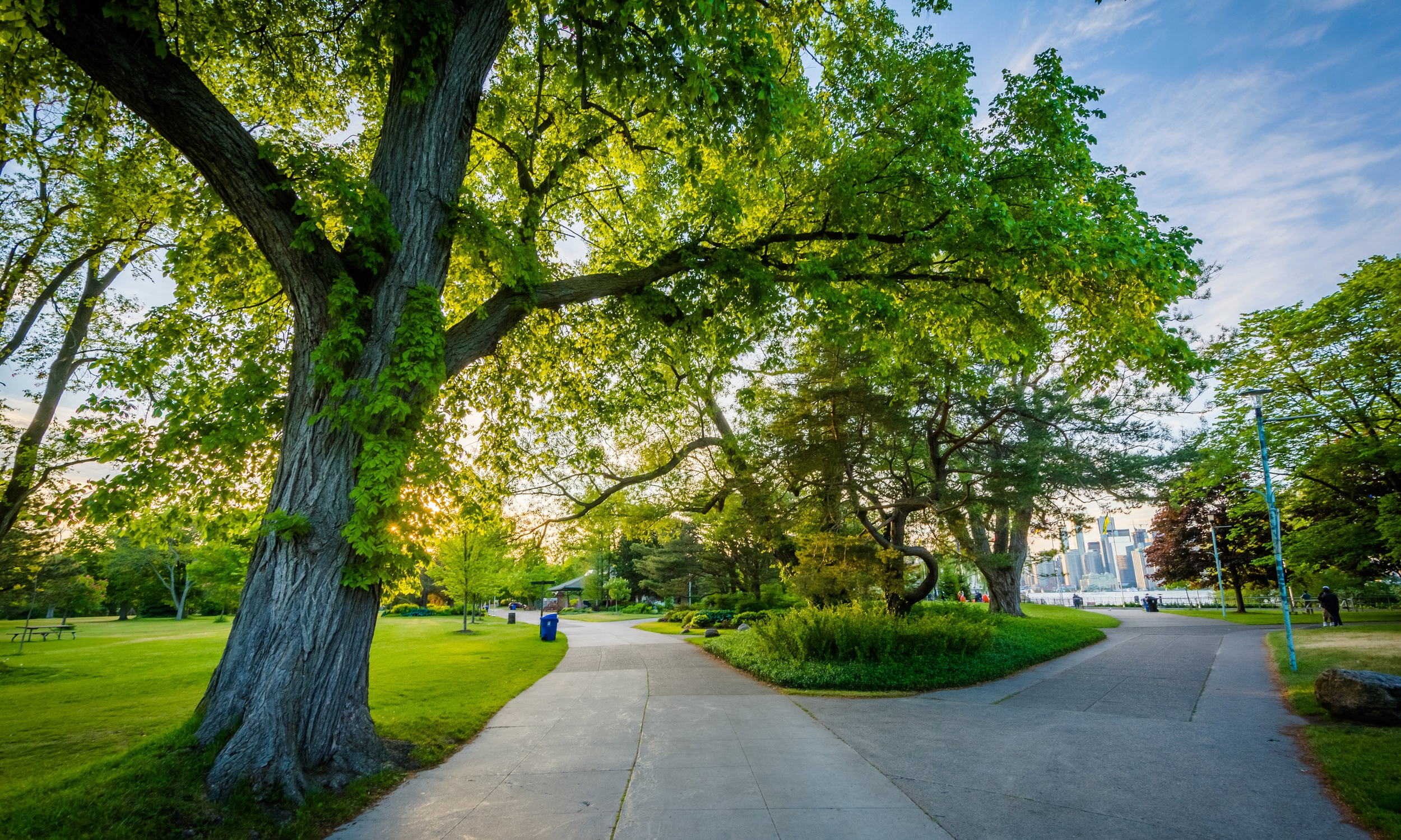 COMMUNITY RESILIENCE AND SUSTAINABILITY Supporting the transition to resilient, low carbon communities. view our impact