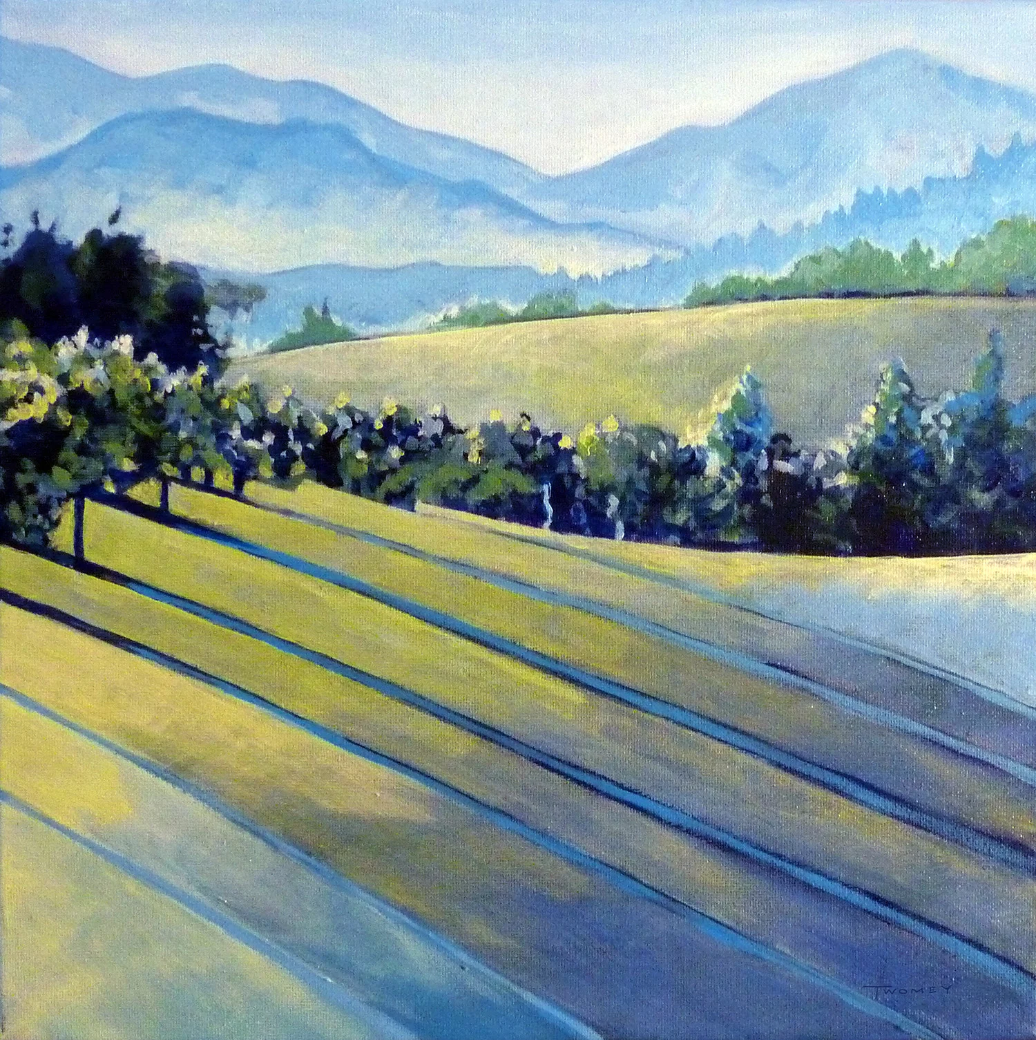 blueridgevineyards2.jpg