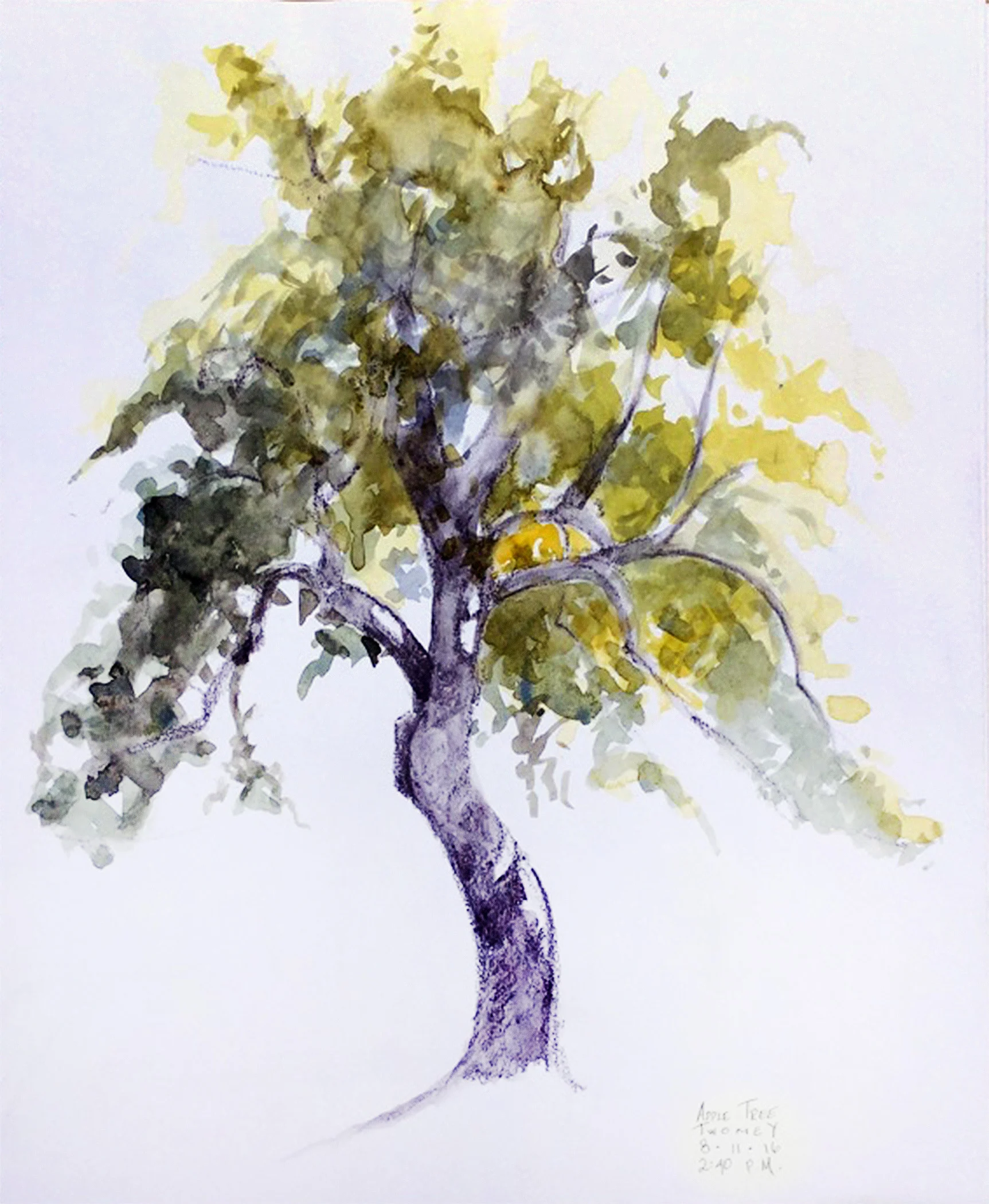 AppleTreeBonsai.jpg