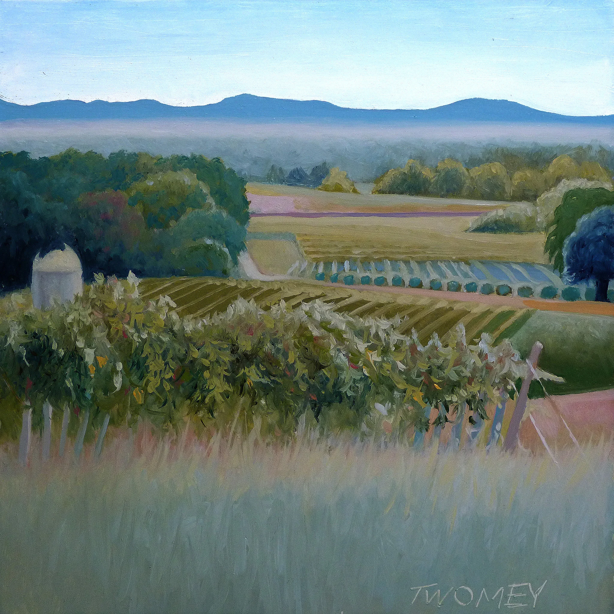 "Grace Vineyards Harvest End"