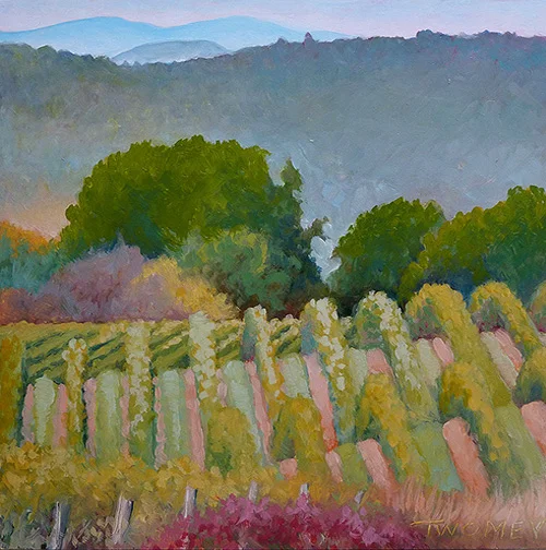 "Barboursville Vineyards, Rows & Rows"