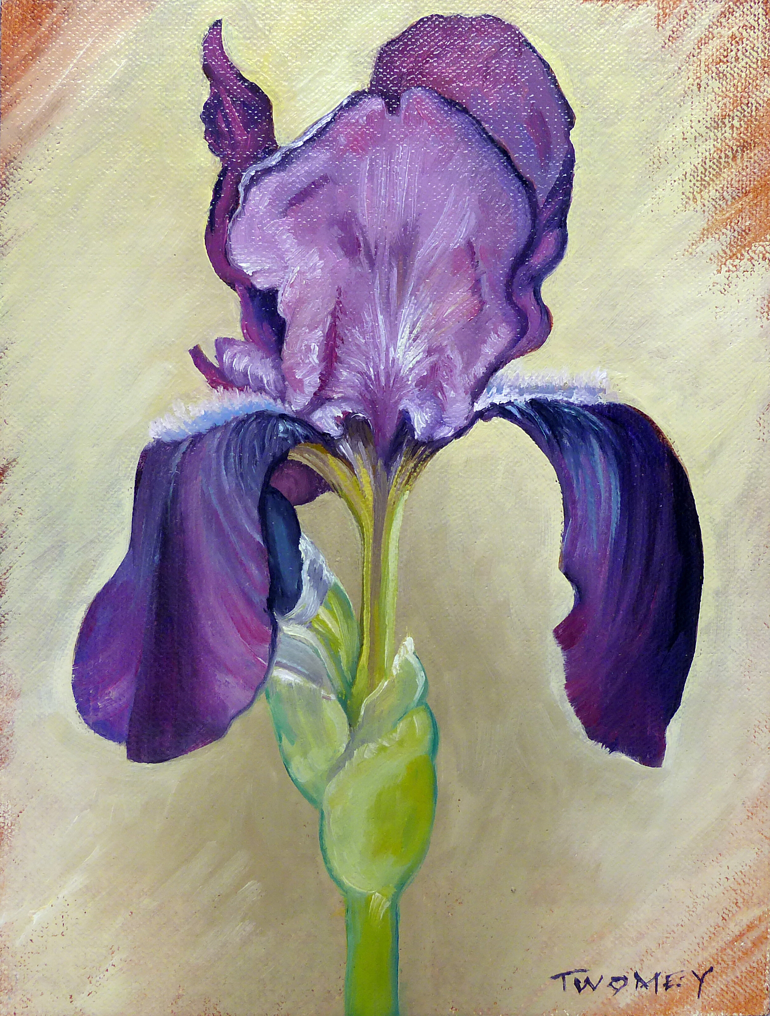 Iris Paintings