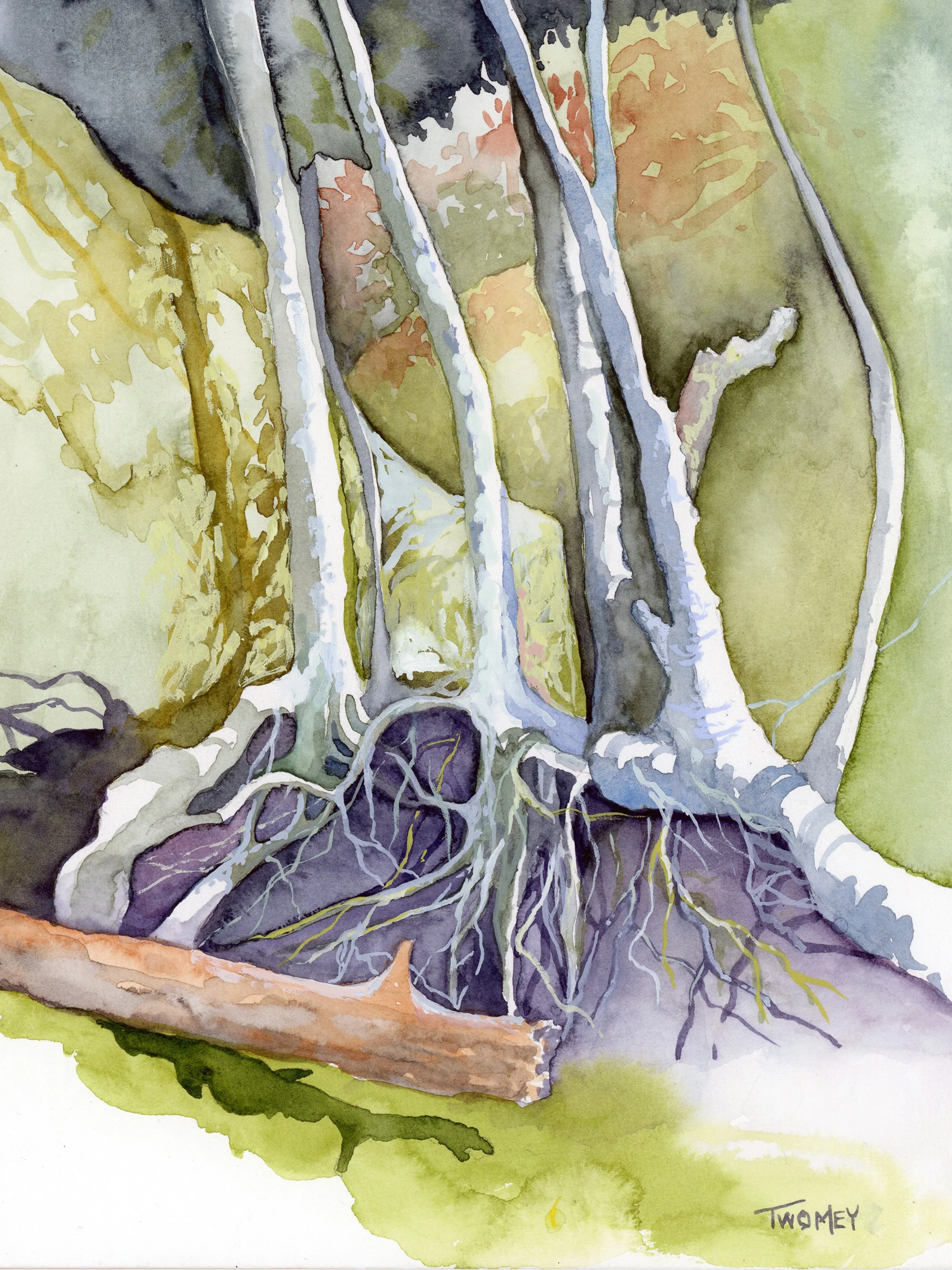 "Roots, Rocks, Trees" (8 X 10") $300