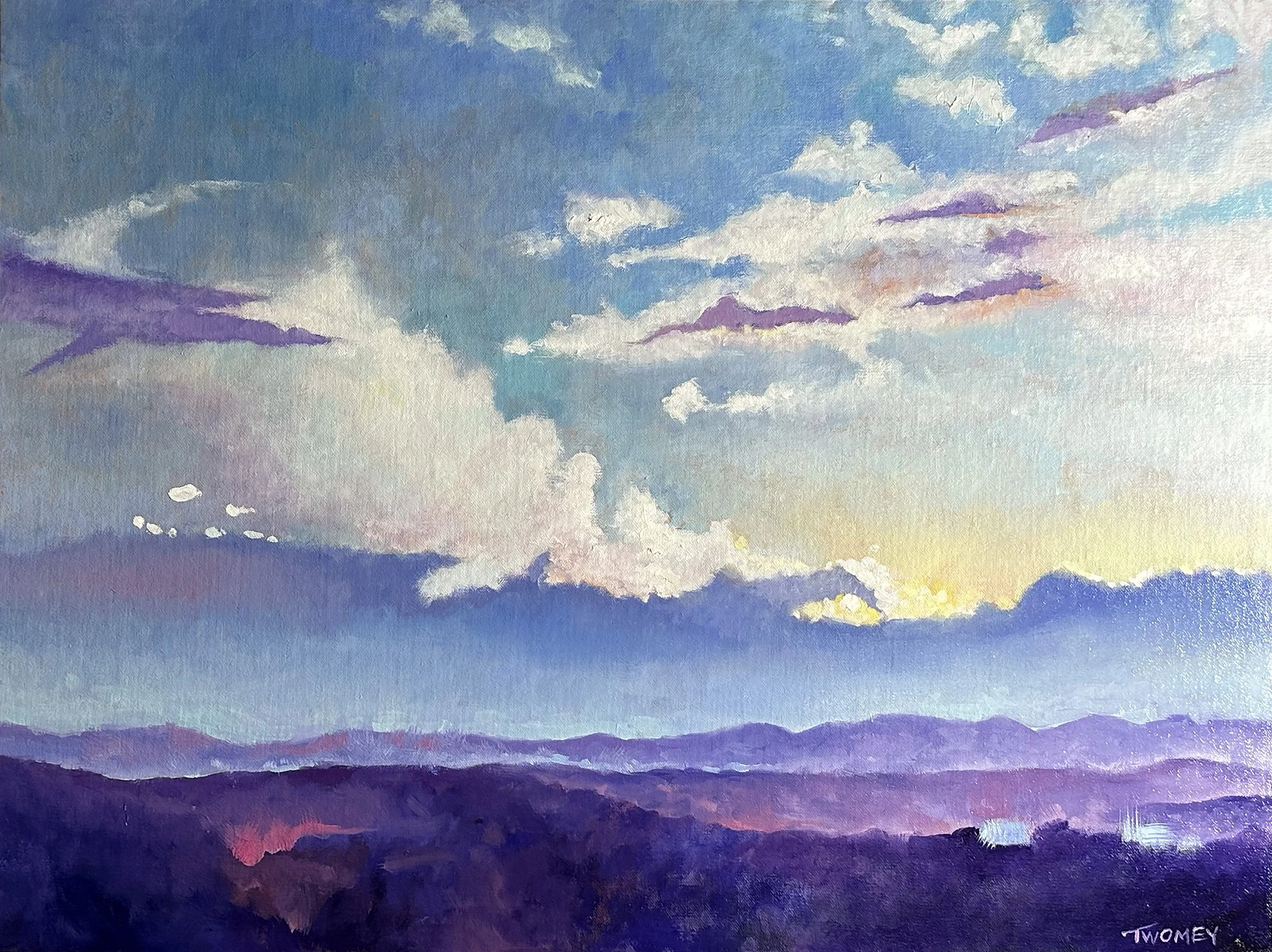 Hope Series: Grove Park Overview (20 X 24", 2023)