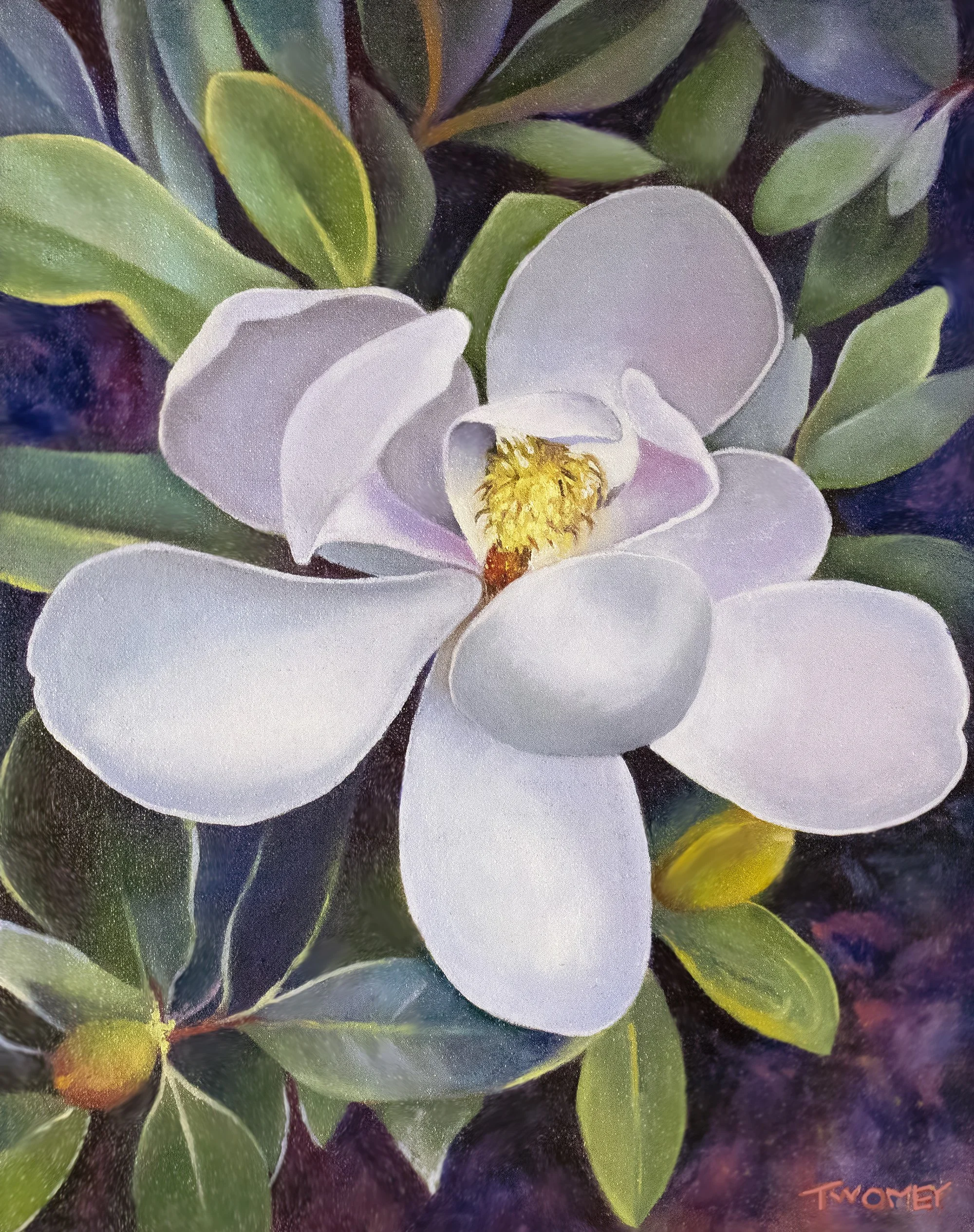 Bobby's Magnolia (12 X 12", 2021)