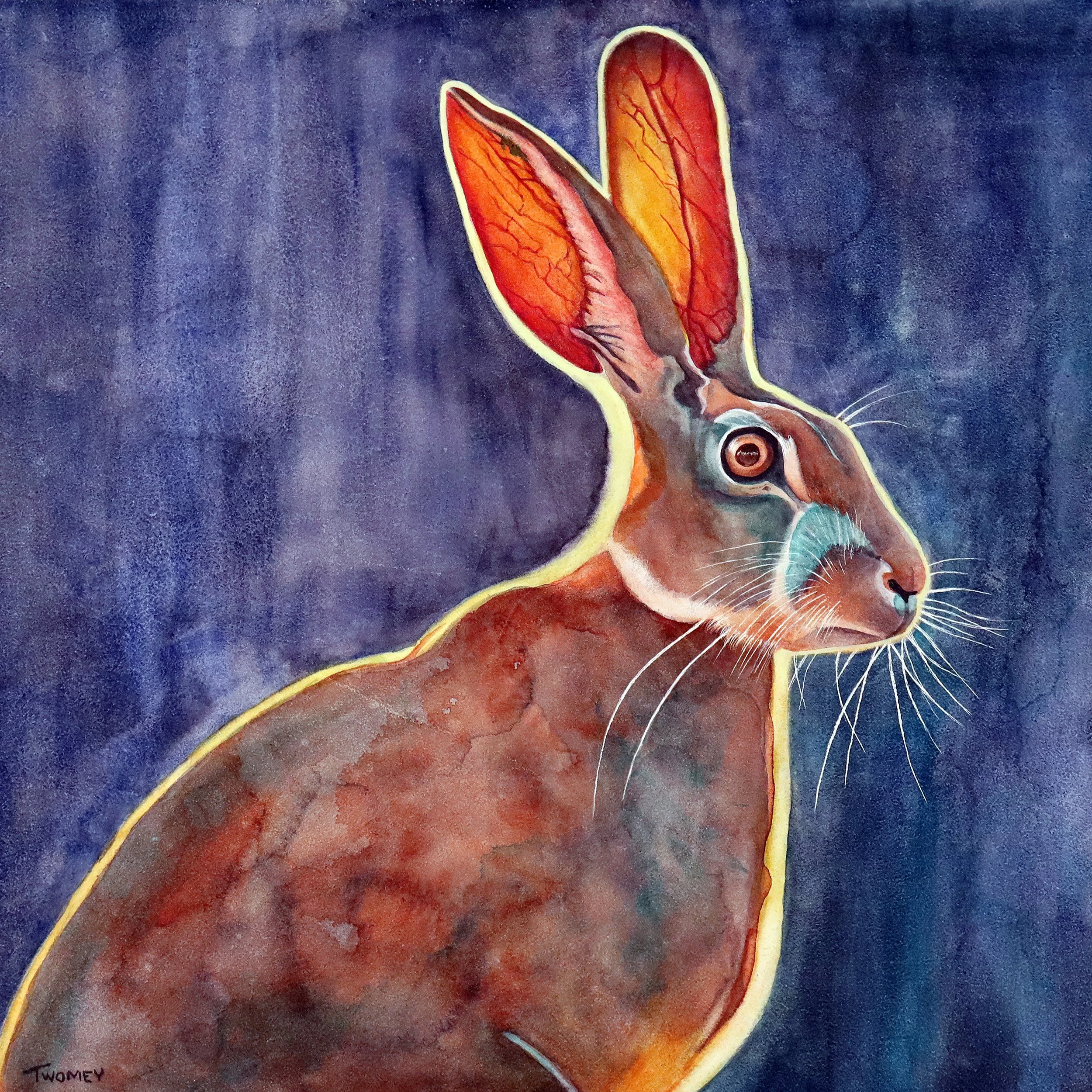 JackRabbit Soul
