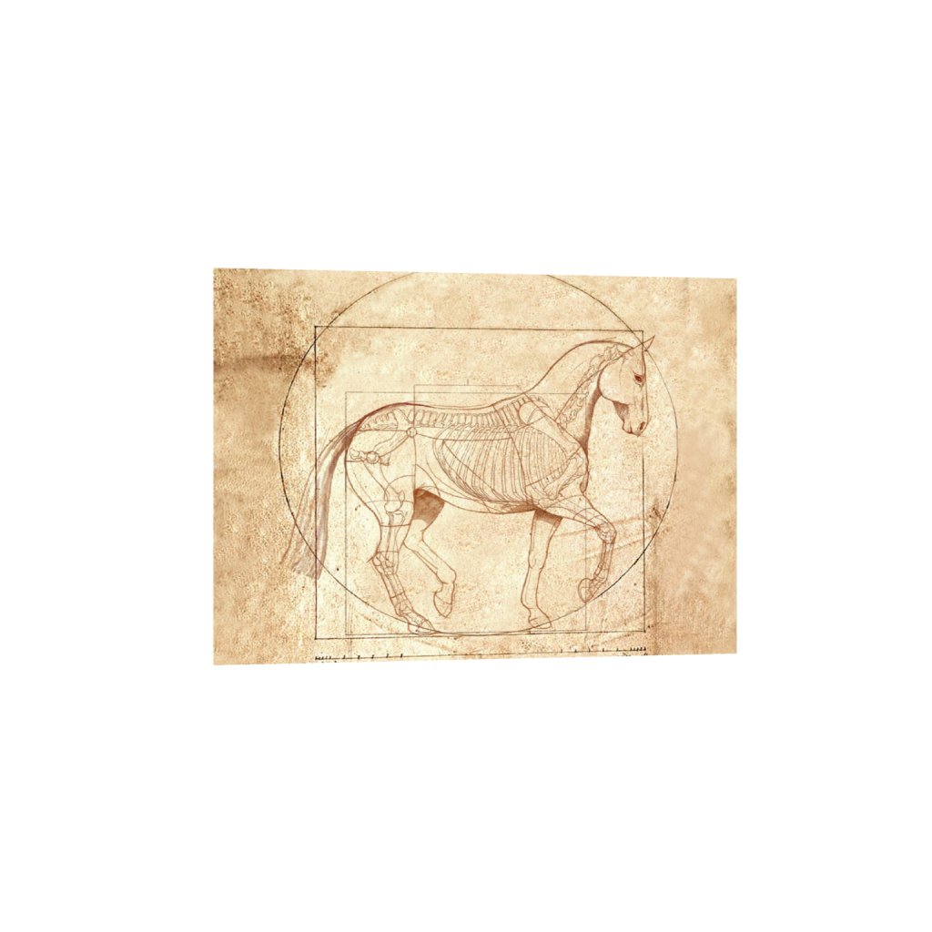 ptq_34_7_0_342_2400_1714_0_false_ffffff_0_0_.png
