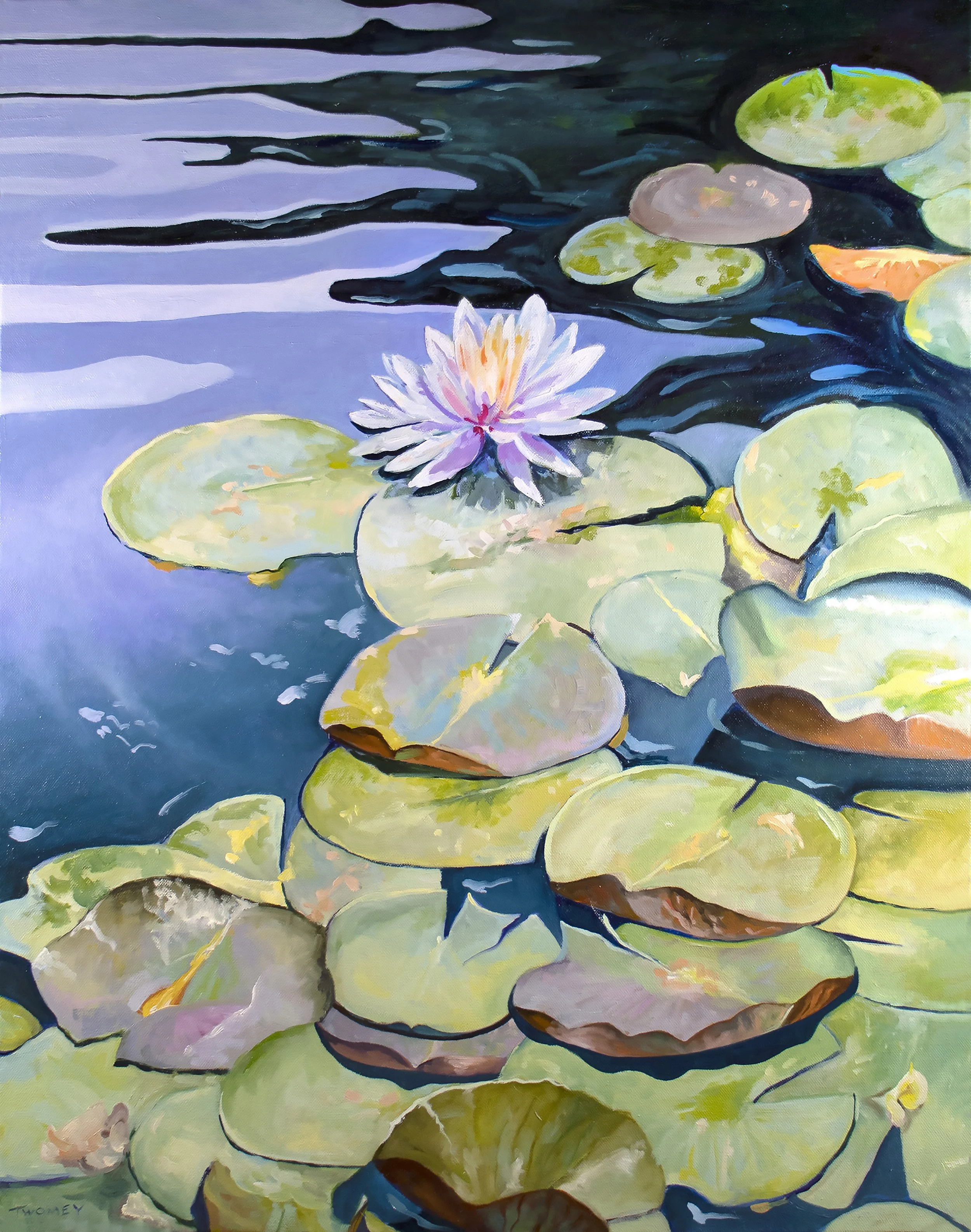 White Lily Bass Pond