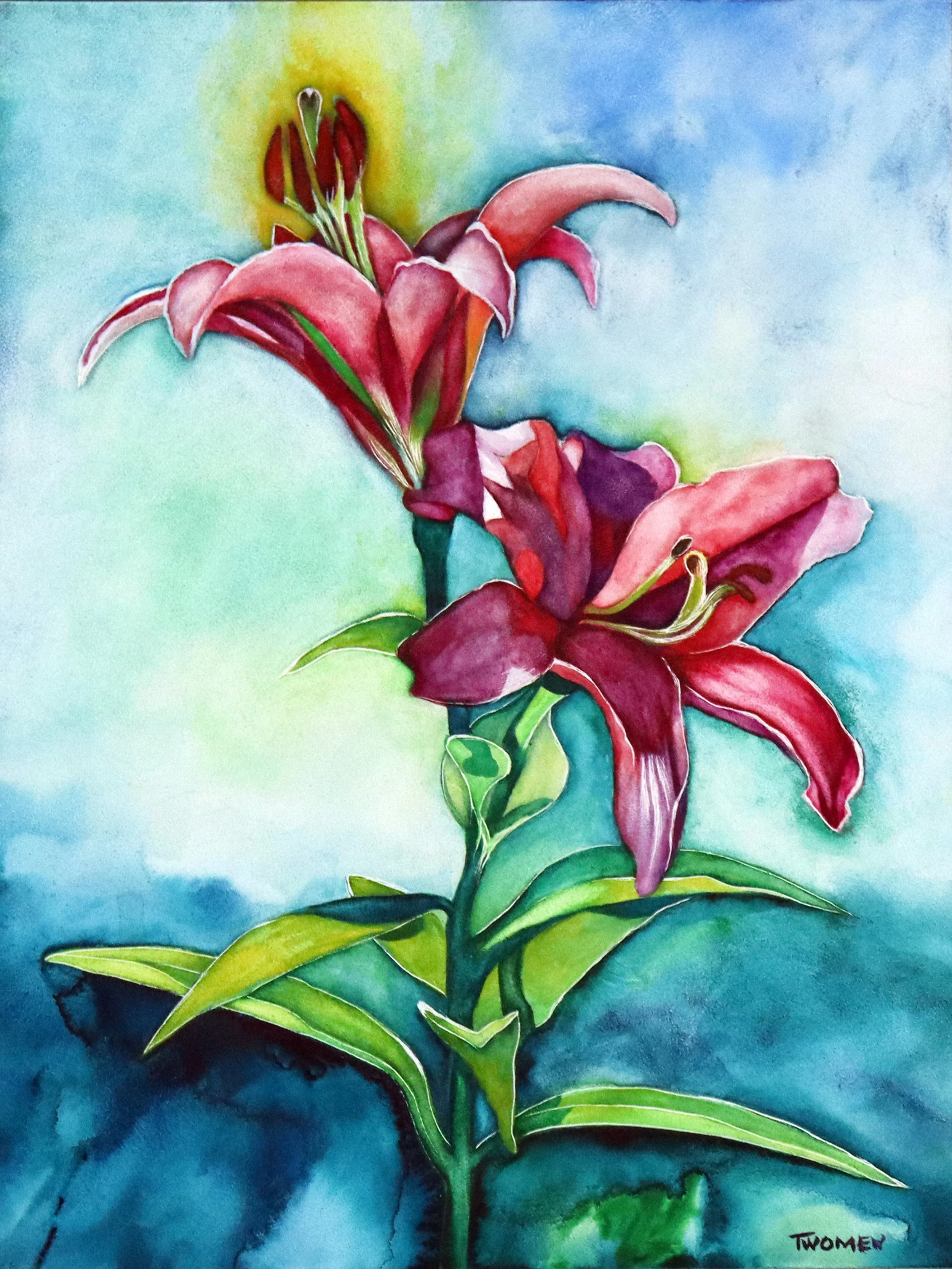 Red Lily Life