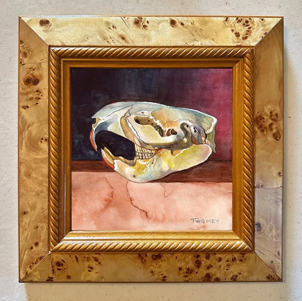 beaverskull,winterlightframed.jpg