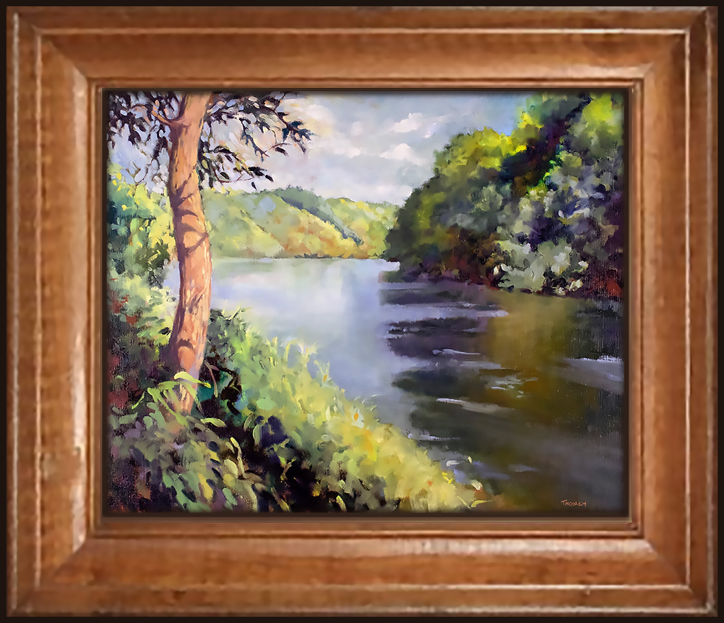 frenchbroadriverpleinelegantframe.jpg