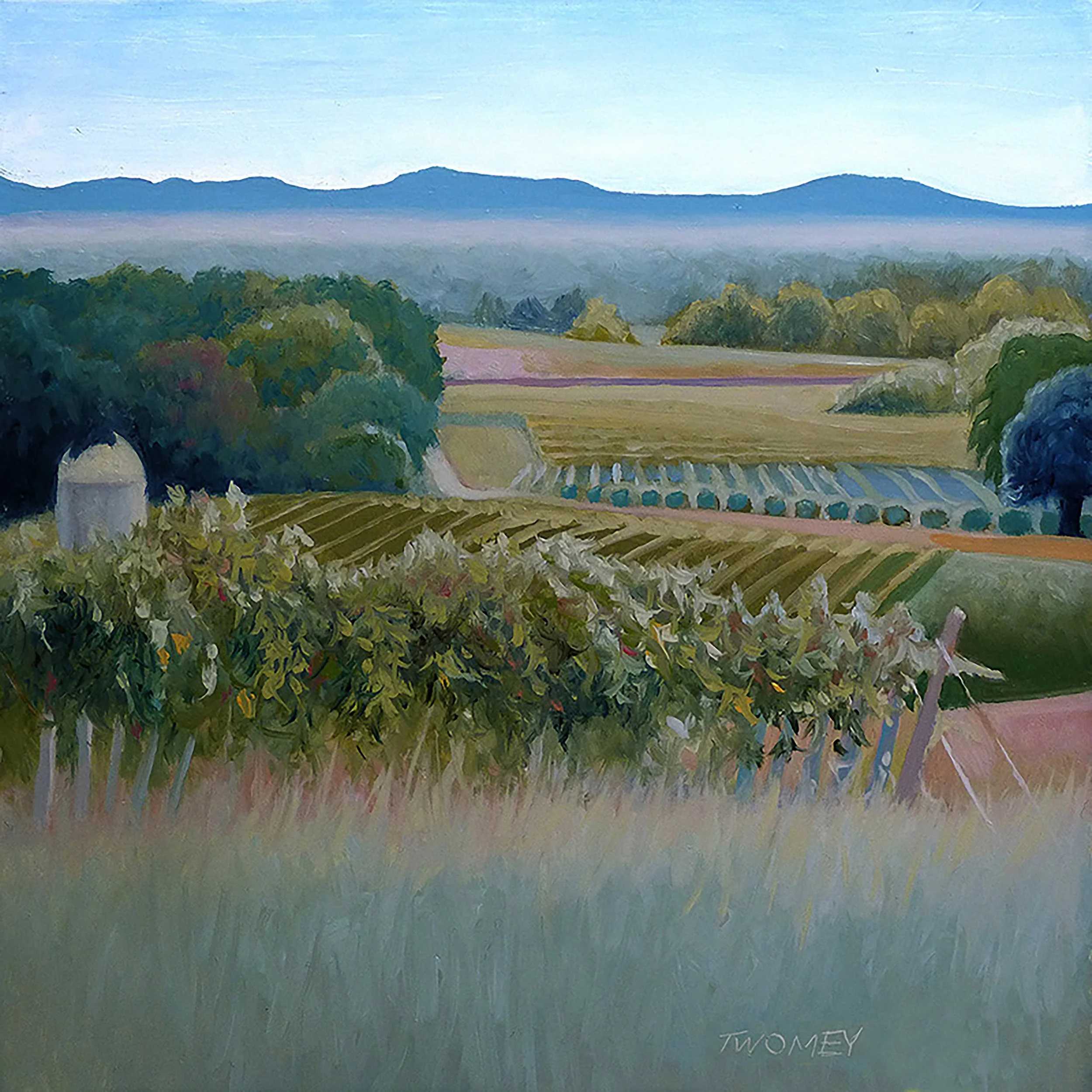 blueridgevineyards72.jpg