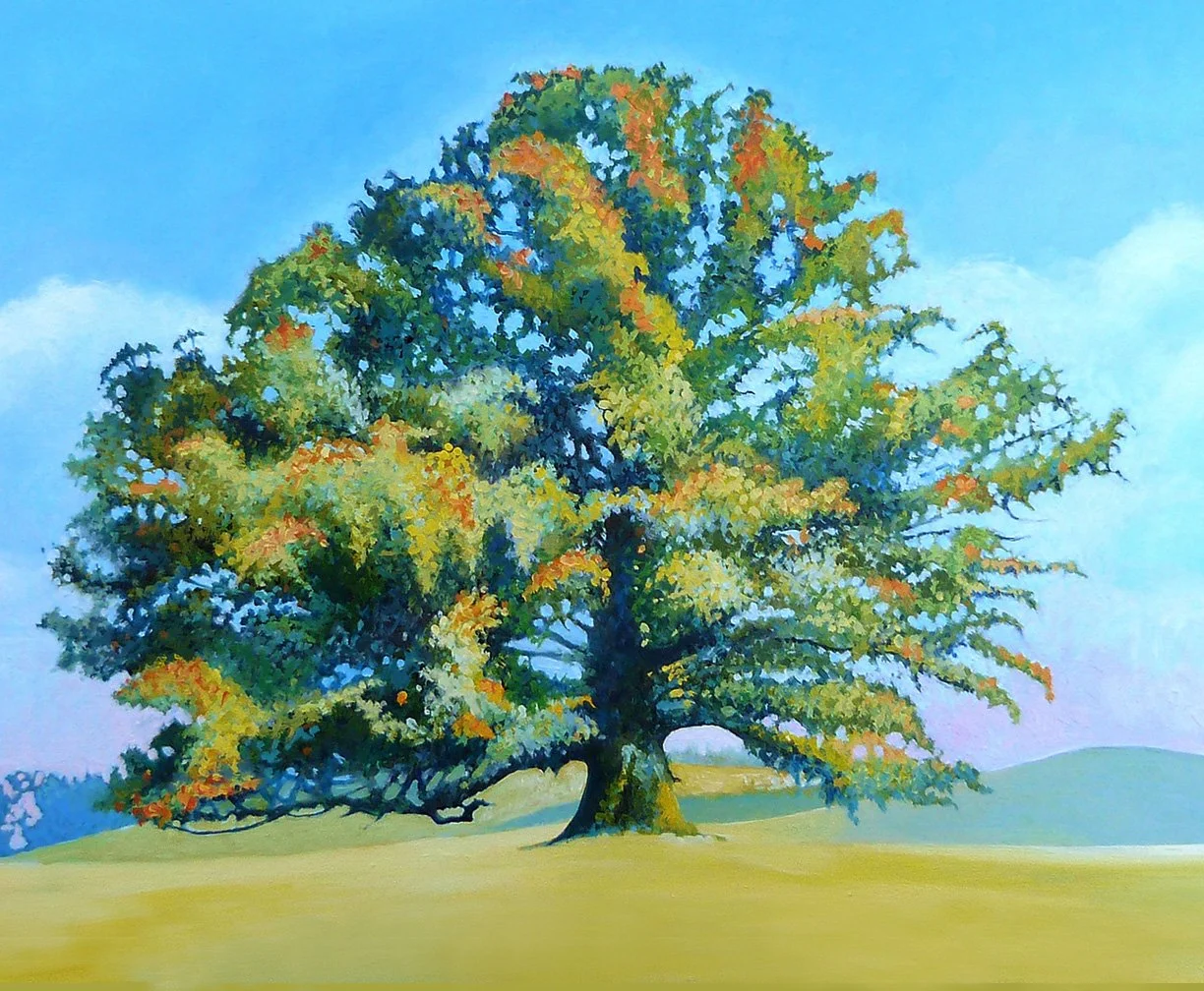 whiteoakcropped72 copy.jpg