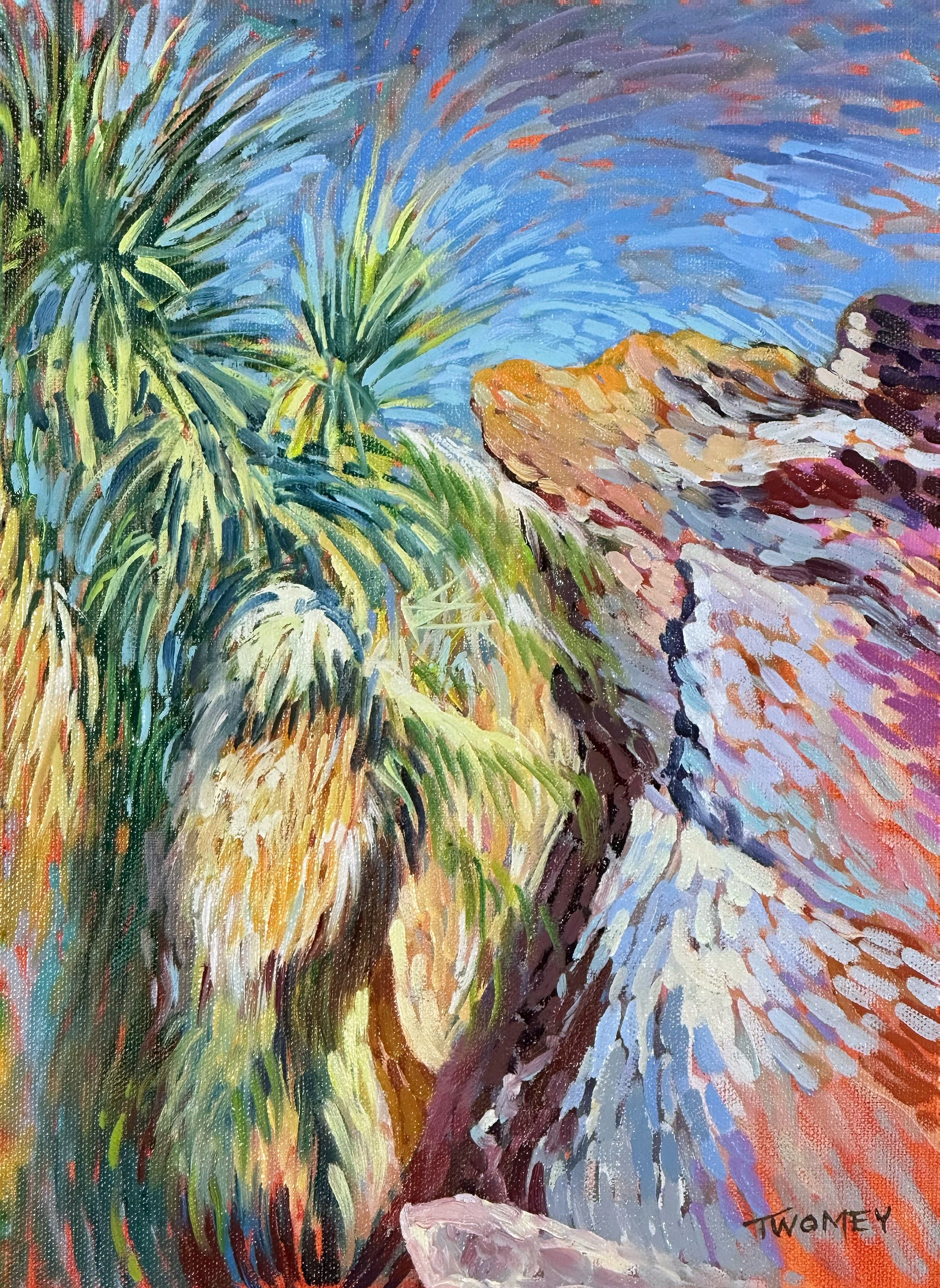 aquacalientepalmsat72.jpg