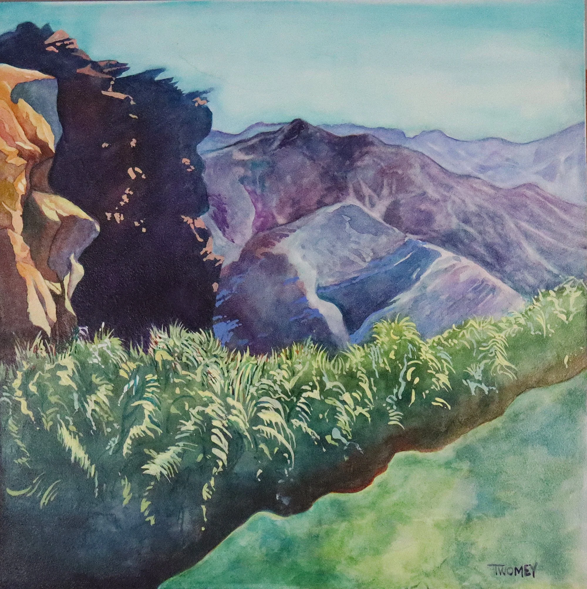ValleyOfTheDancingPalms72.jpg