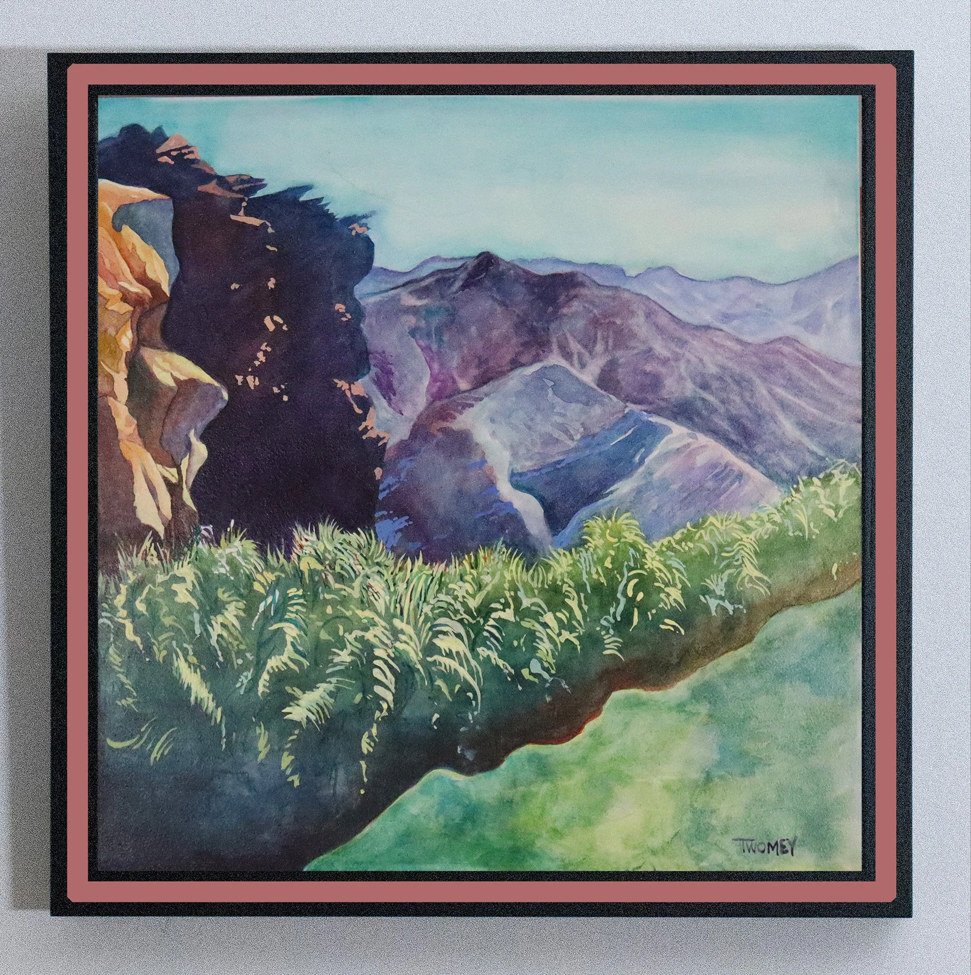 ValleyOfTheDancingPalmsframed.jpg