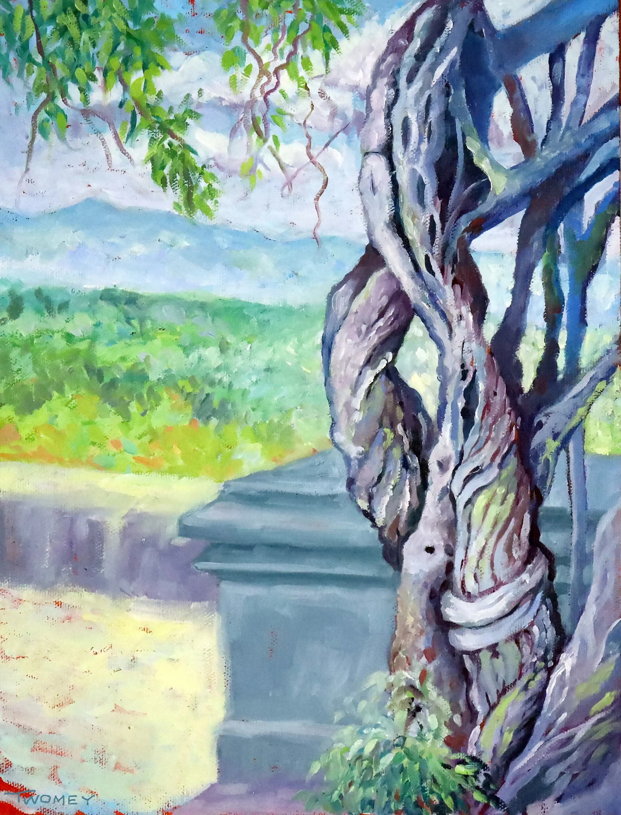 biltmorewisteriapapa72.jpg