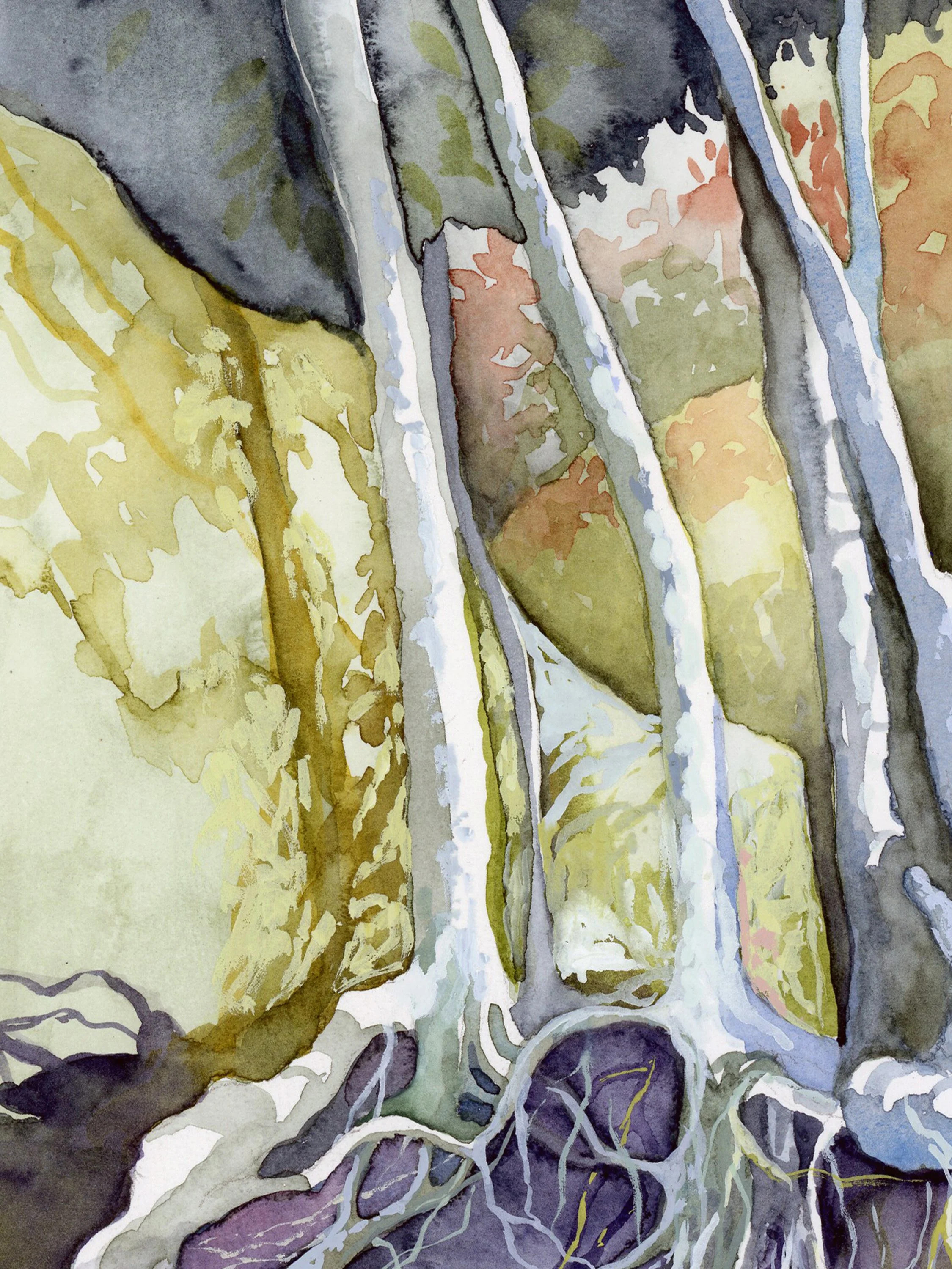 roots,rocks,treesatzoom3.jpg