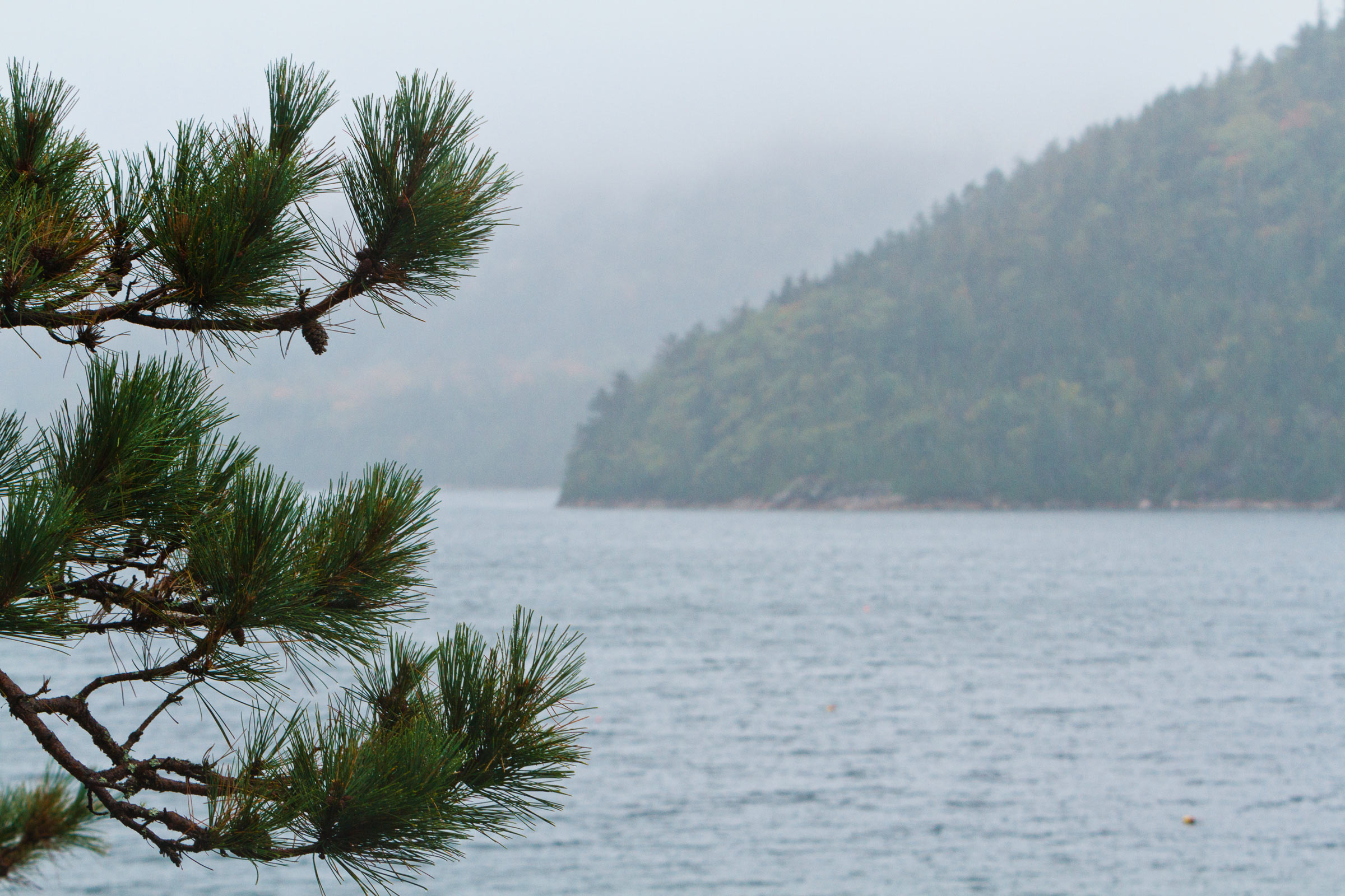 Somes Sound, MDI Marathon - photo by Kevin Morris