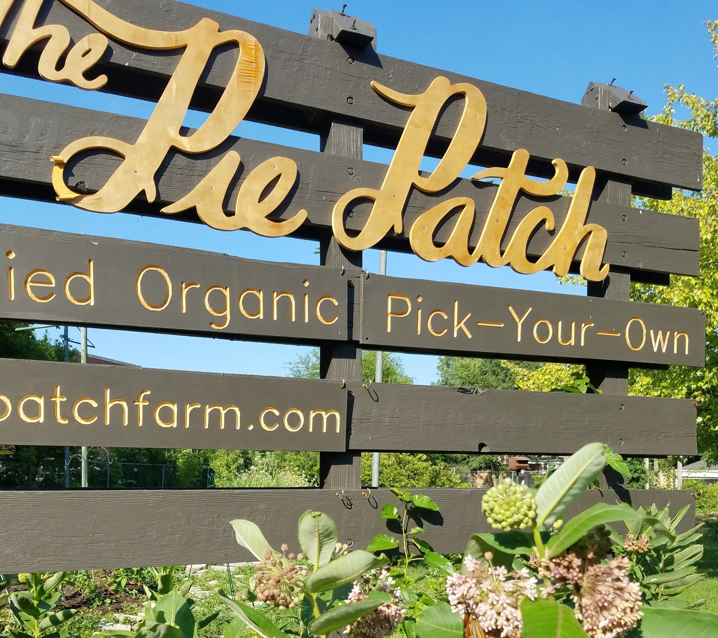 The Pie Patch