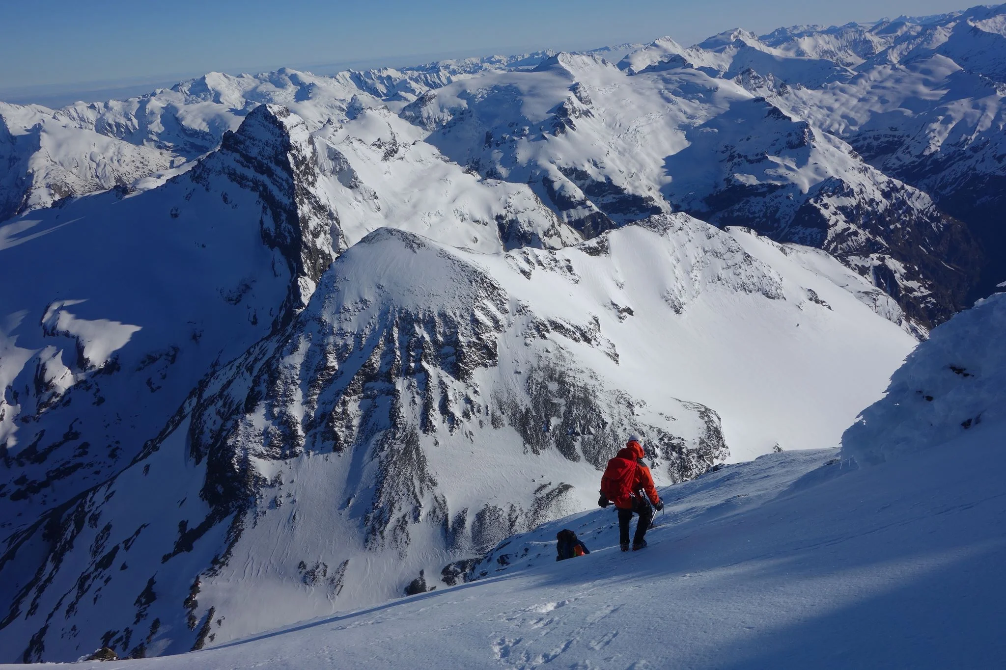 New Zealand Trip Reports