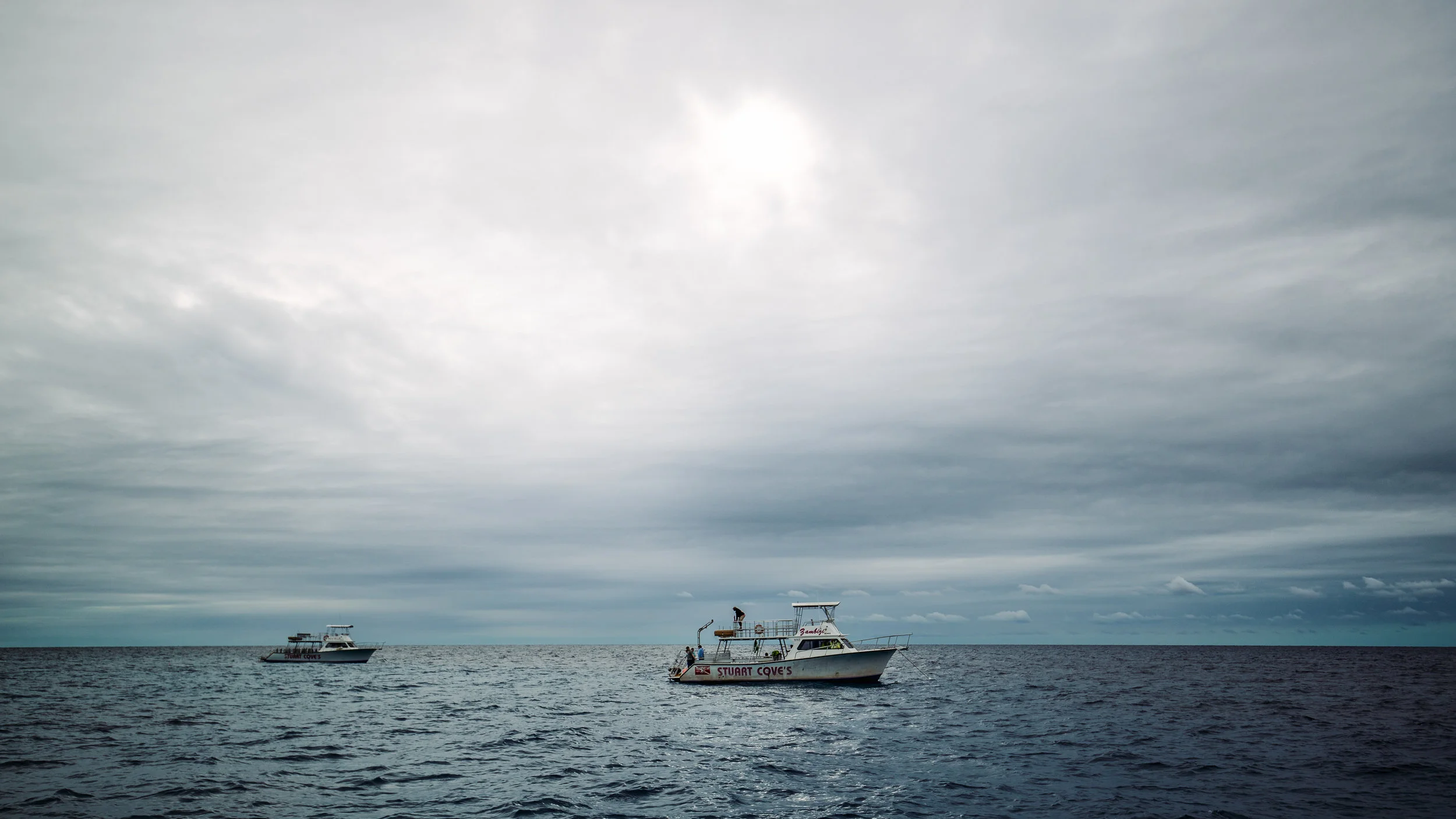 We chartered a boat with Stuart Cove, famous for being the go to dive shop for movies such as the James Bond Films and shows like Myth Busters. 