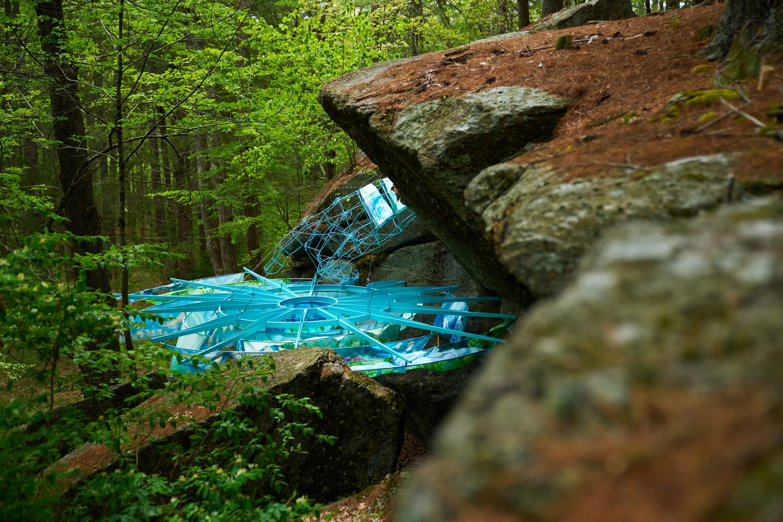 _DSC7758.jpg