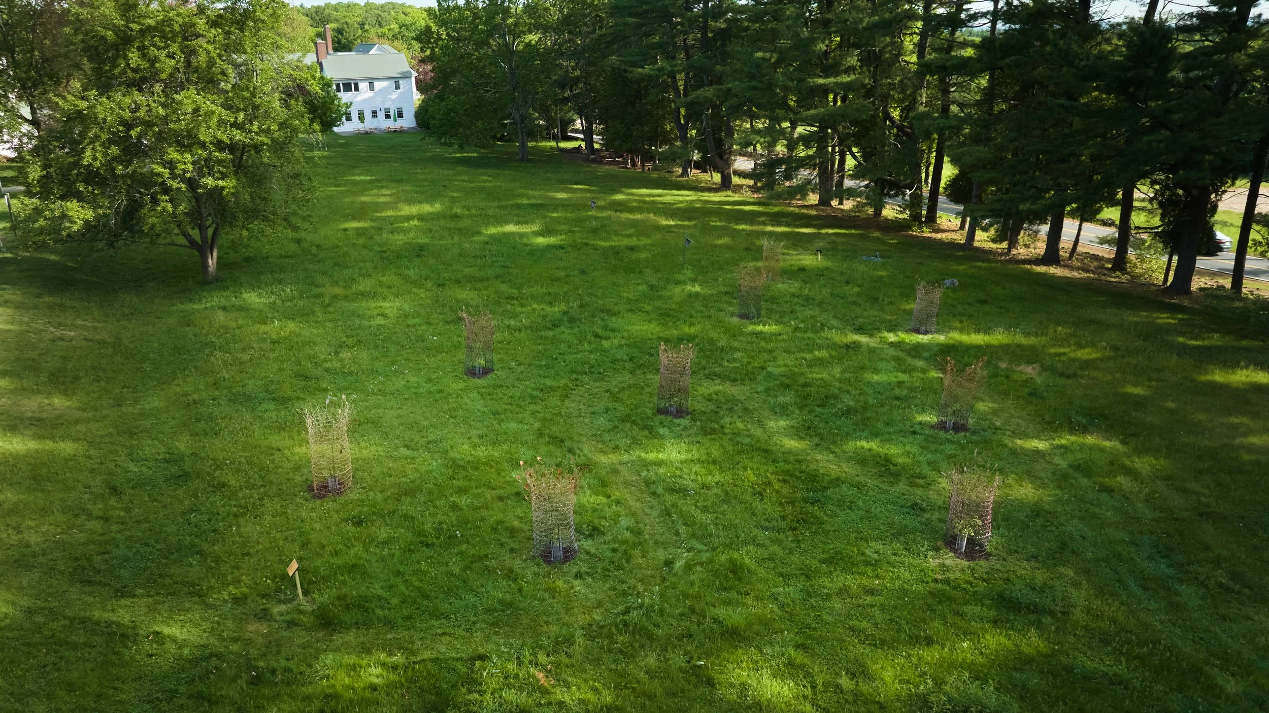 DJI_0733.jpg