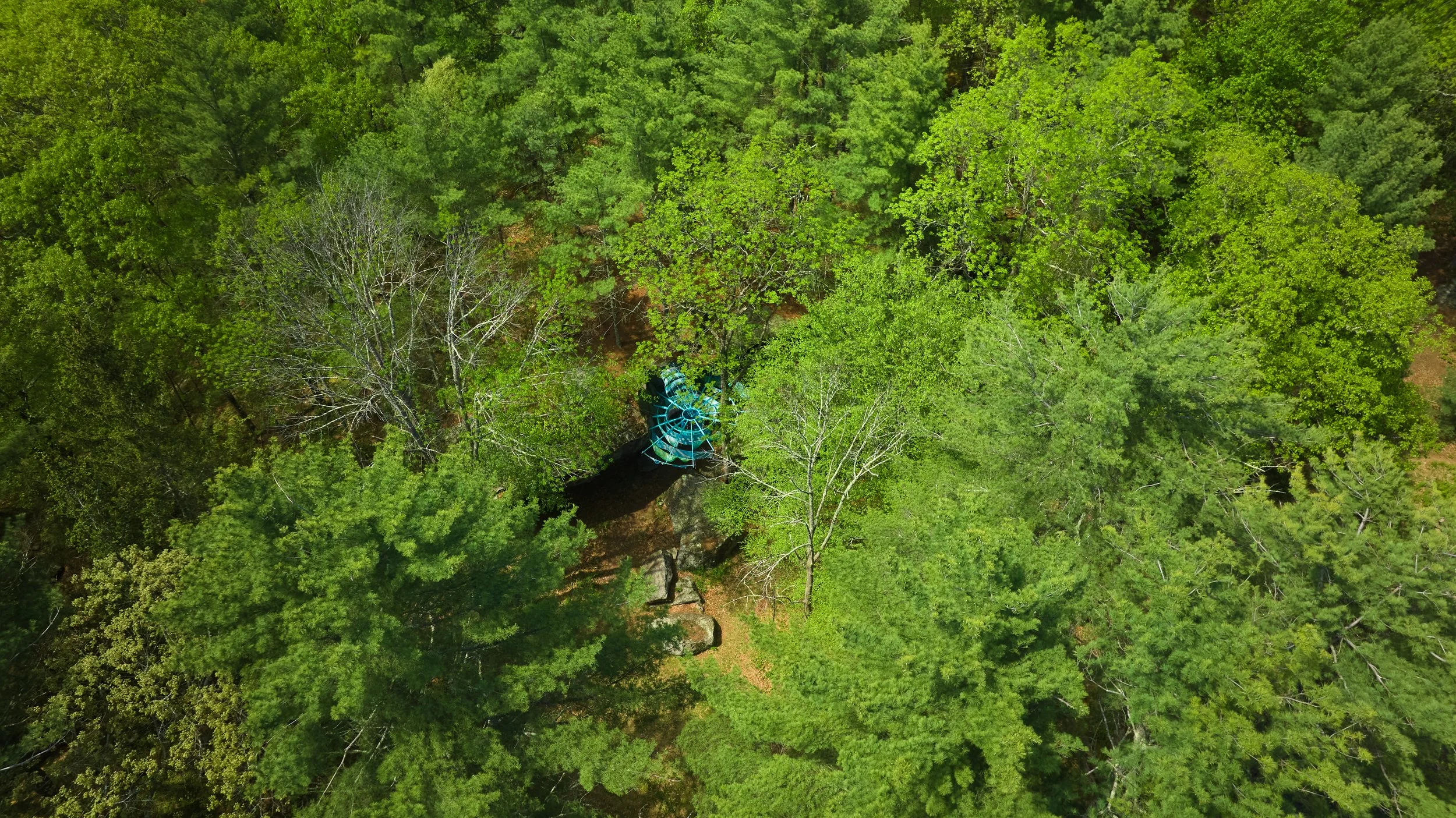 DJI_0686.jpg