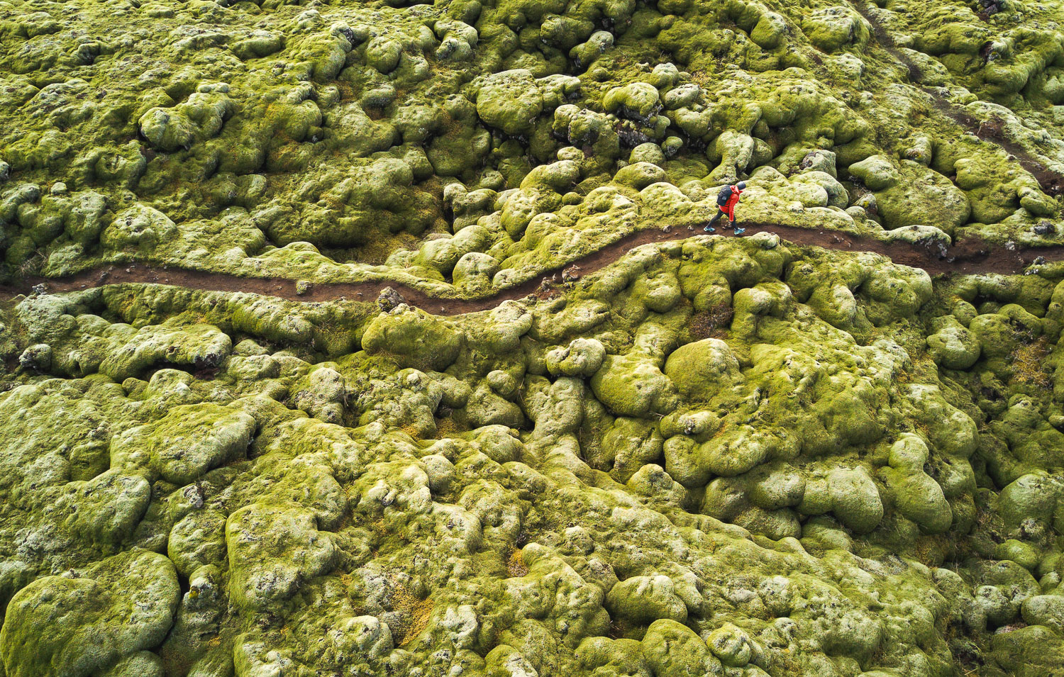 Woman walking on trail through moss in Iceland