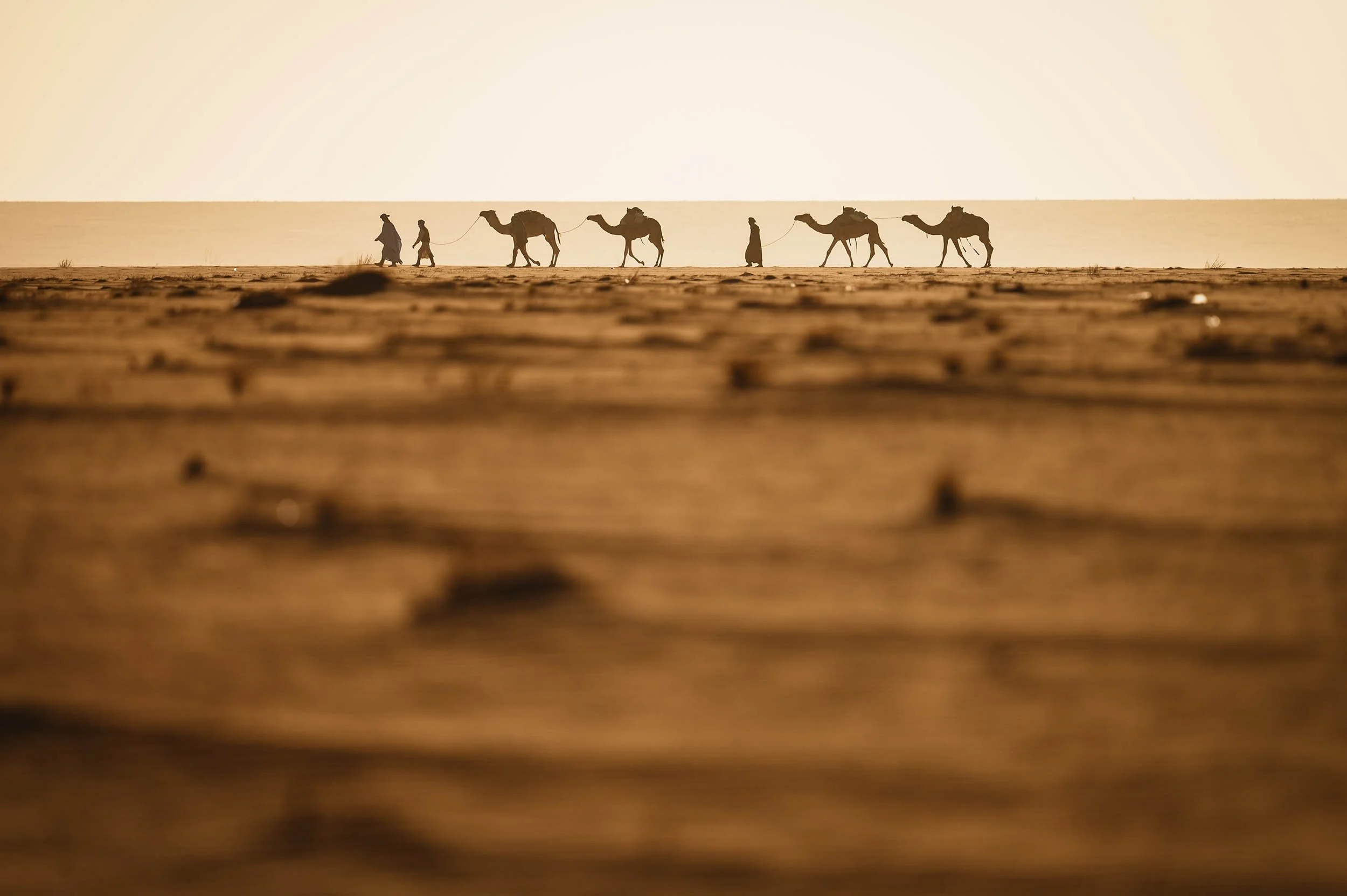 251204-BDoscher-OffMapMauritania-871 copy.jpg