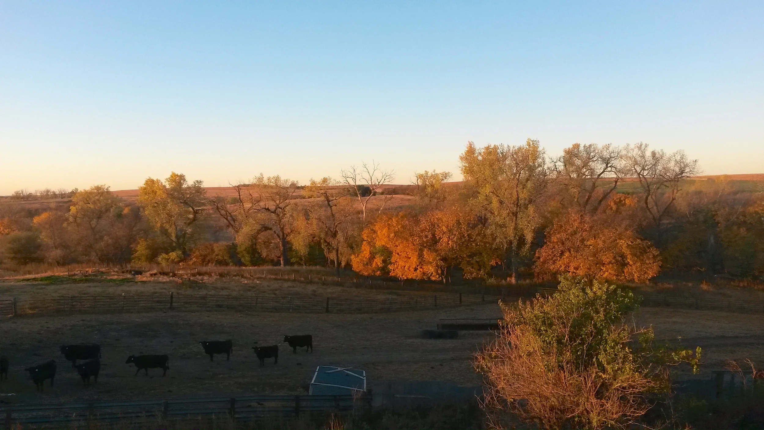 20141020_080734.jpg