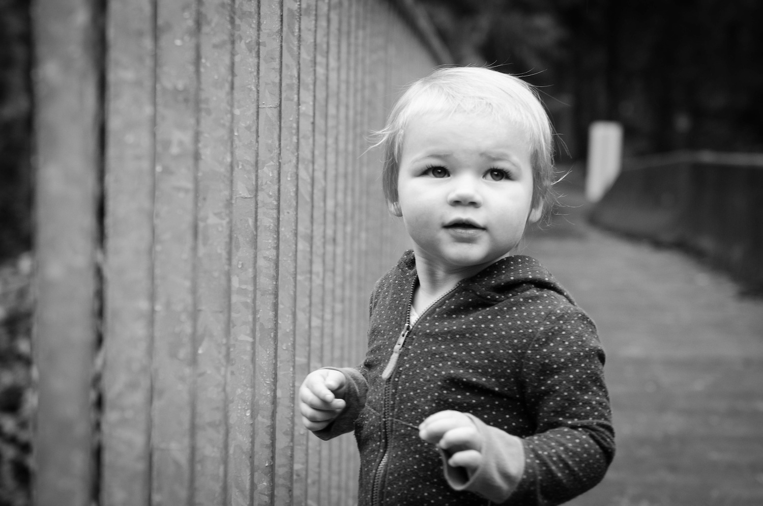 DSC_3893.jpeg