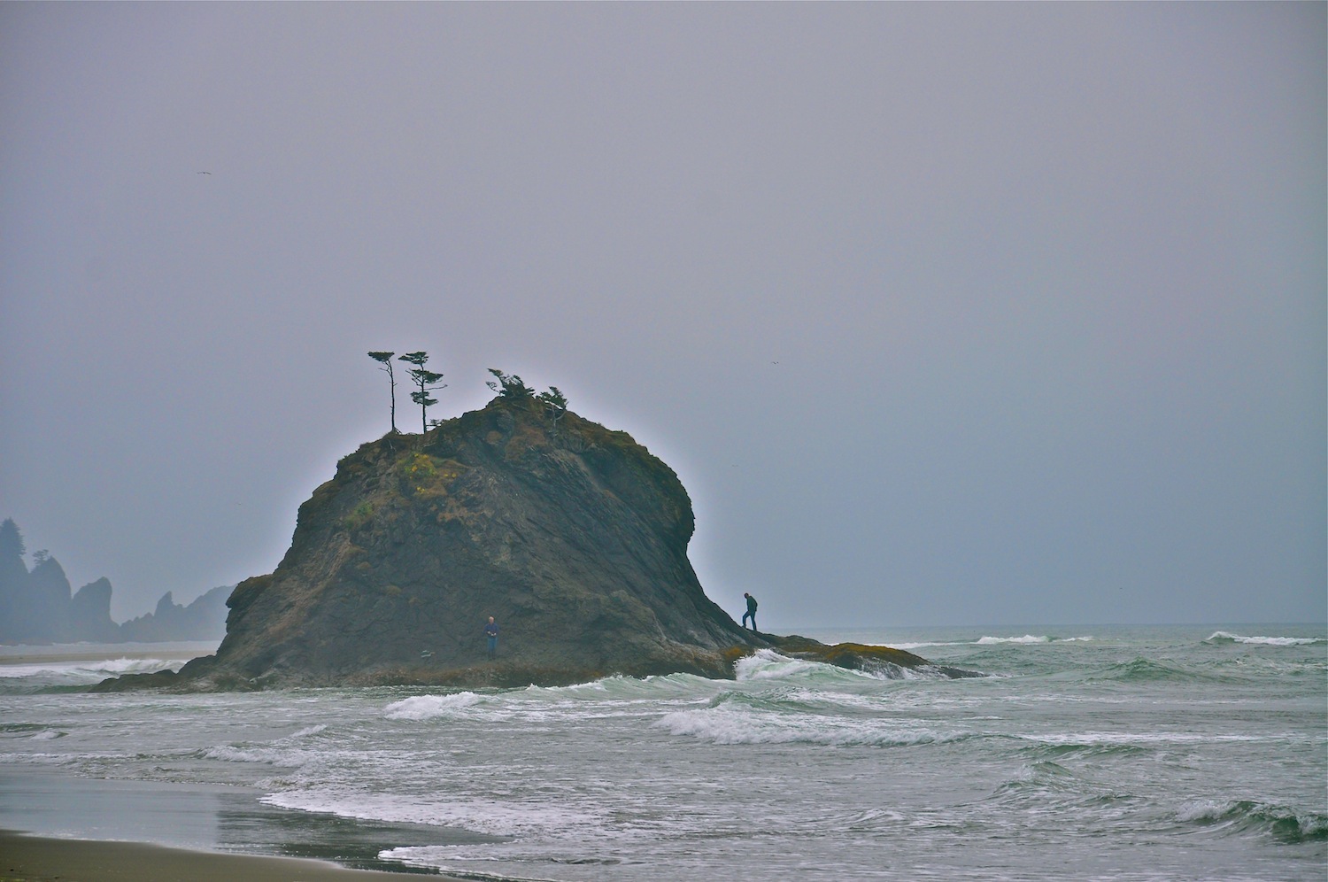 DSC_0326.jpeg