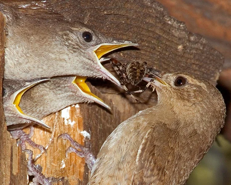 64655191.qLYeM8zm.DSC_1861detail.jpg