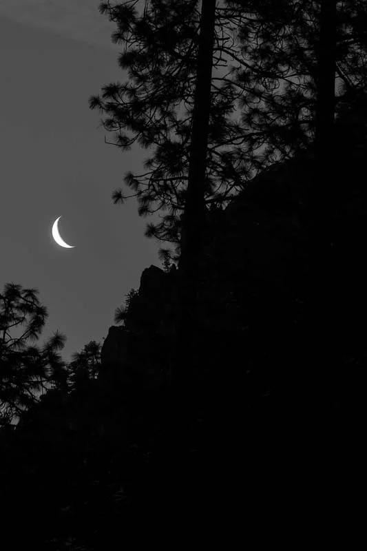 1204 Yosemite-037-2.jpg