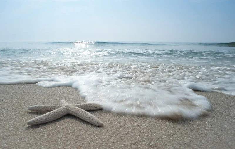 0908 LBI d1 (548 of 693)-Edit (Custom).jpg