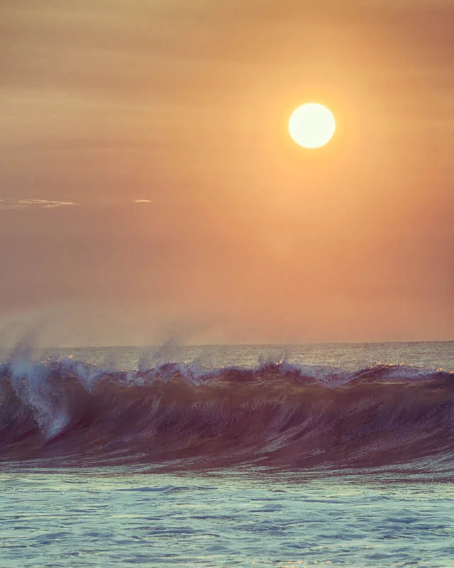1408 LBI 2 (504 of 698)_HDR.jpg