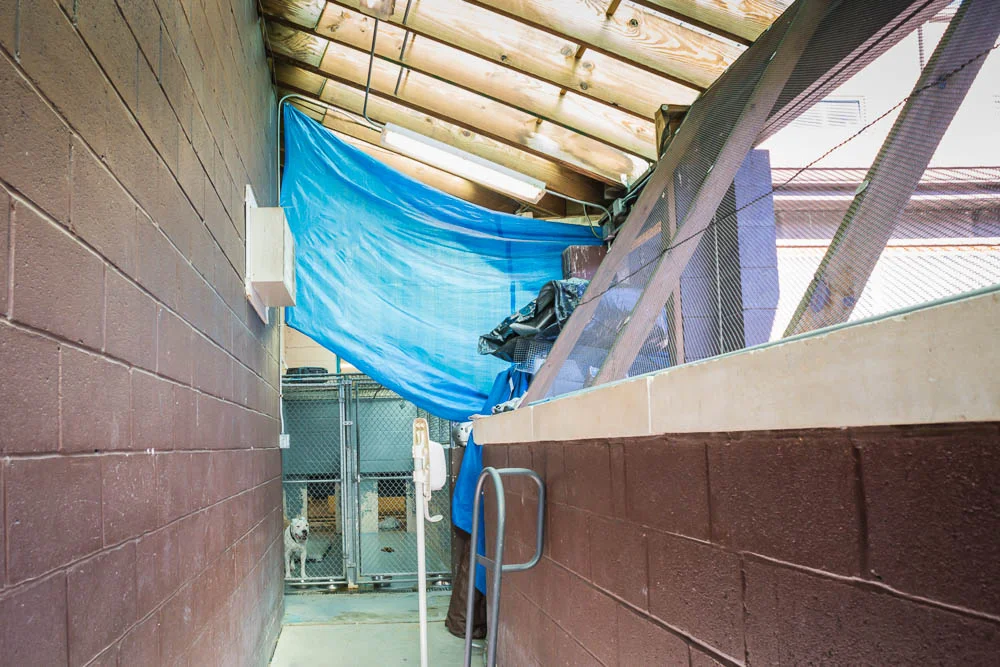 1409 MTAS shelter (55 of 93).jpg