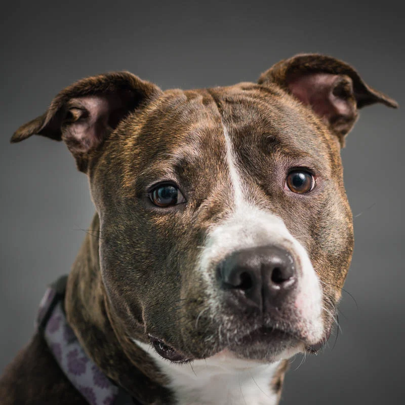 Clementine (6 of 9)-Edit-Edit.jpg