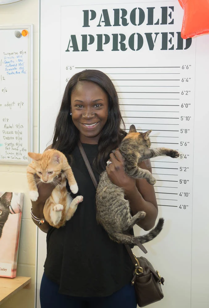 1508 MTAS ClearShelters (5 of 194).jpg
