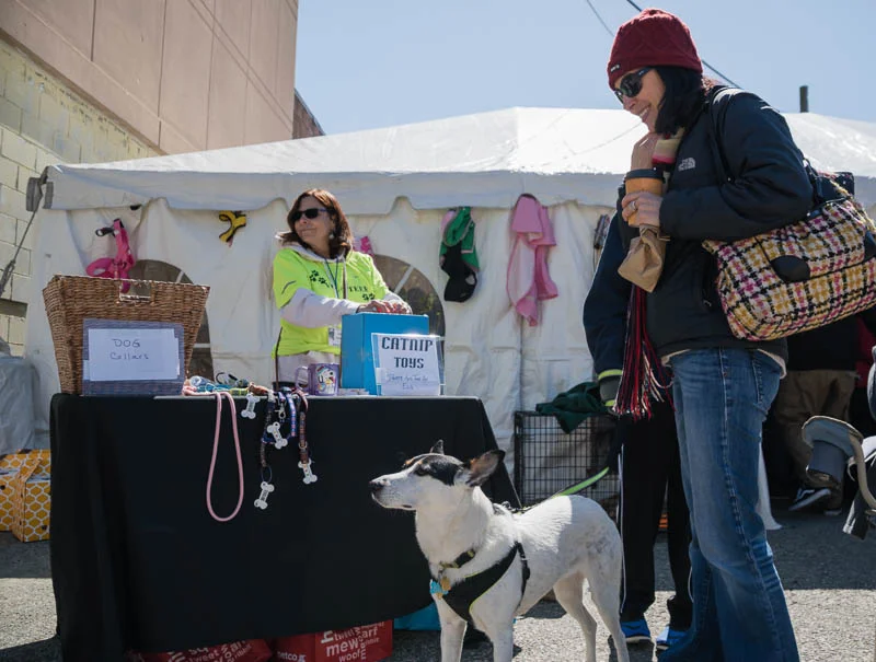 1604 MTAS_blockparty (24 of 73).jpg