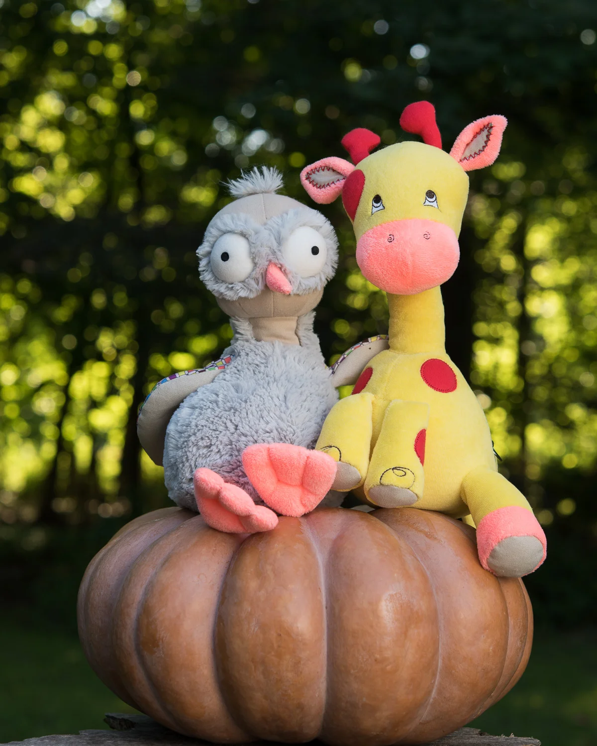 1608_Punkin2 (24 of 70).jpg